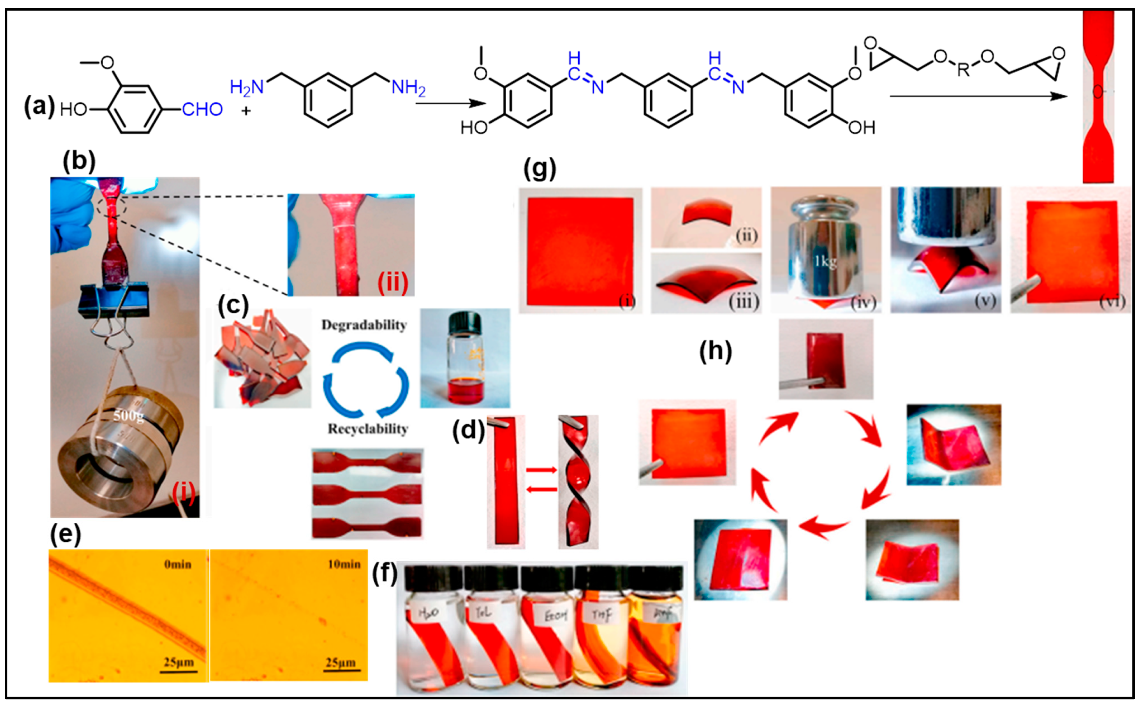 Reactions 04 00003 g014 Reactions 04 00003 g014