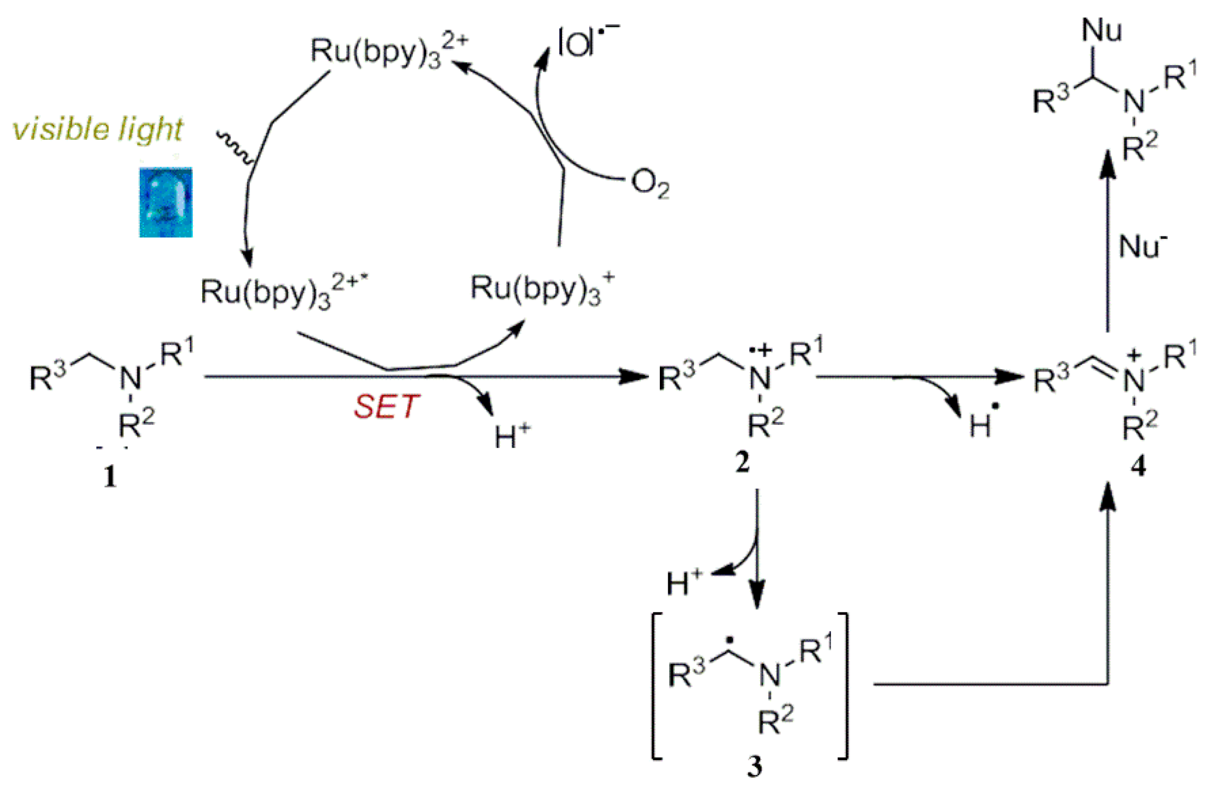 Reactions 04 00012 sch004 Reactions 04 00012 sch004