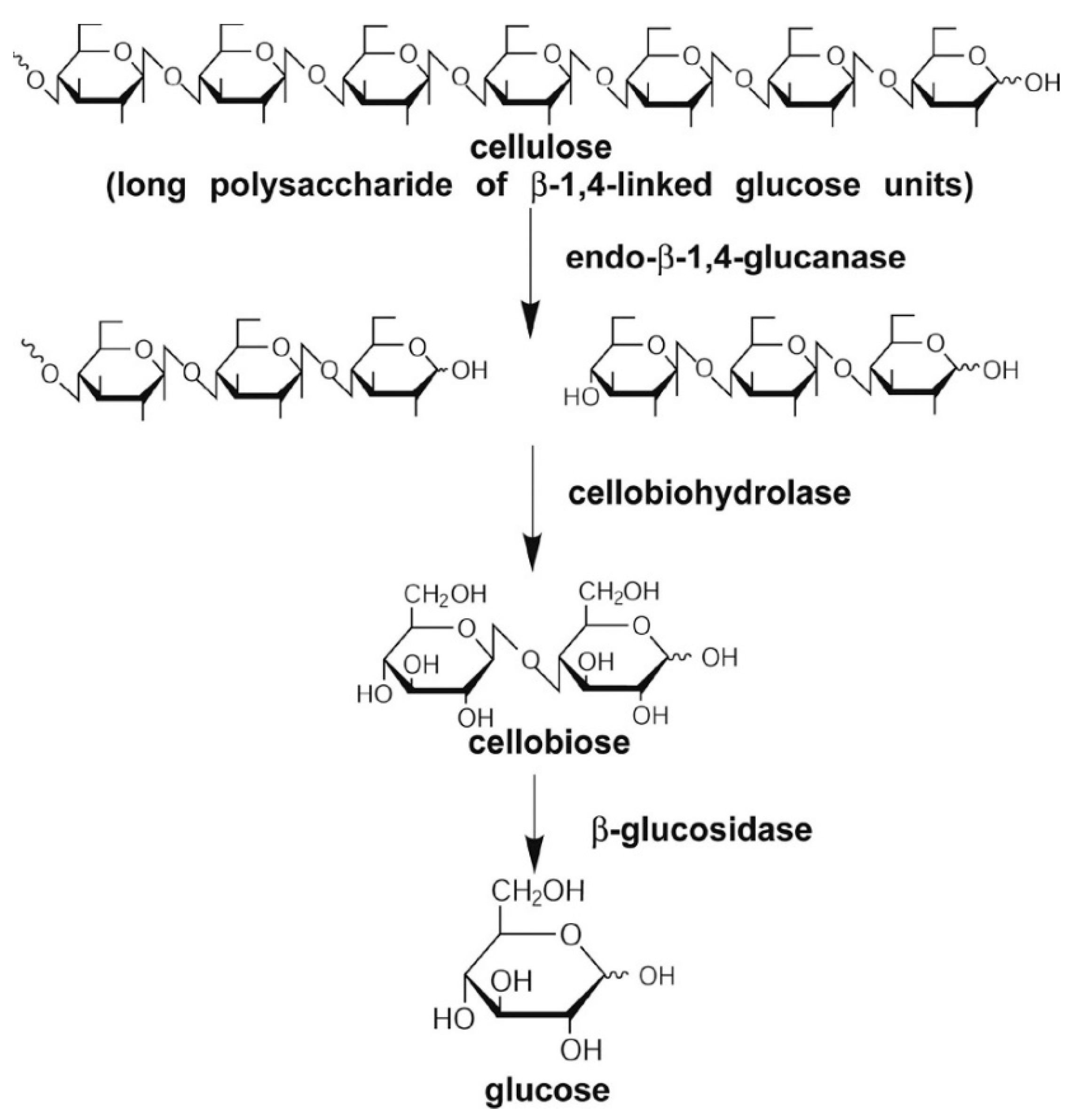 Reactions 04 00018 g003 Reactions 04 00018 g003