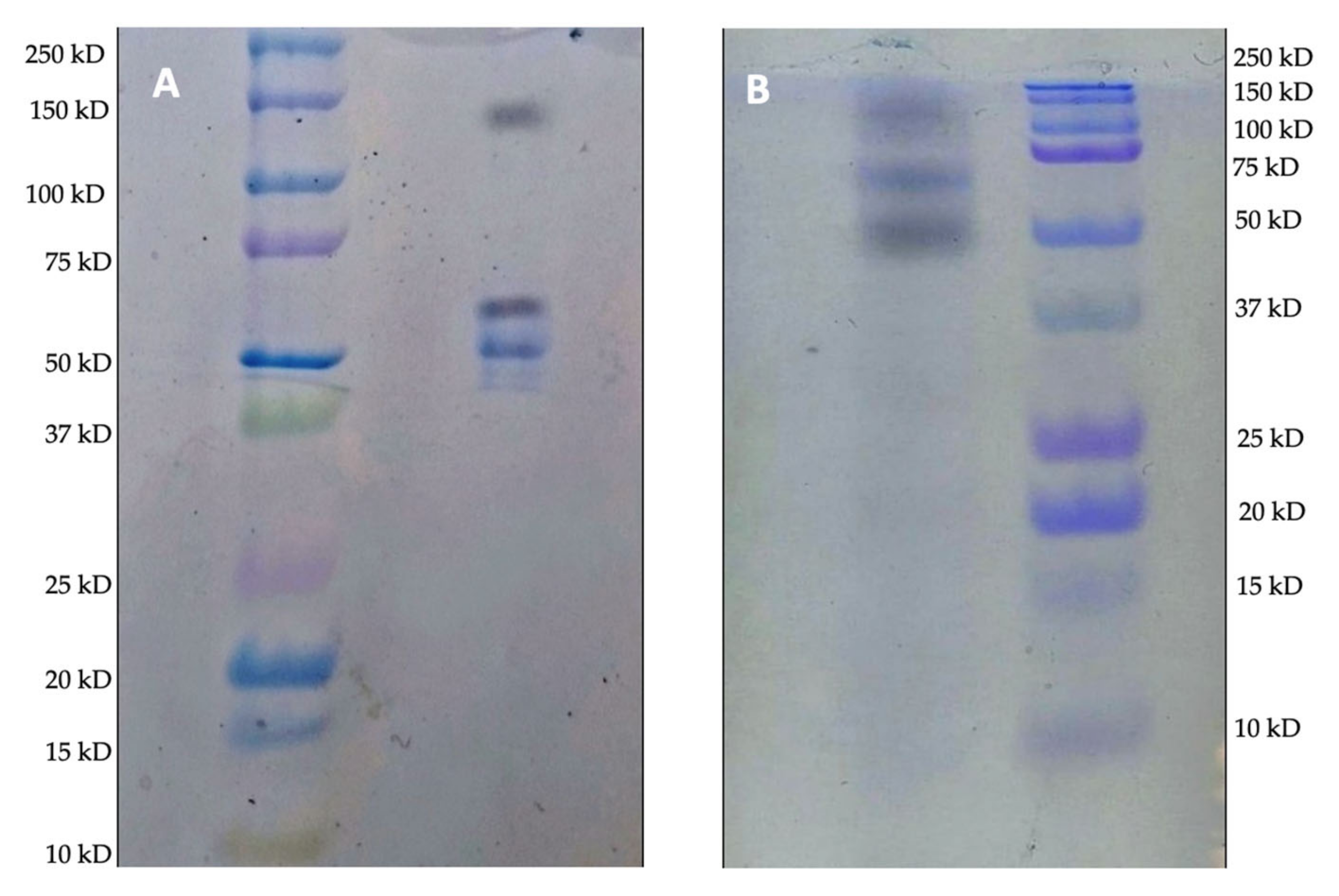 Reactions 04 00019 g005