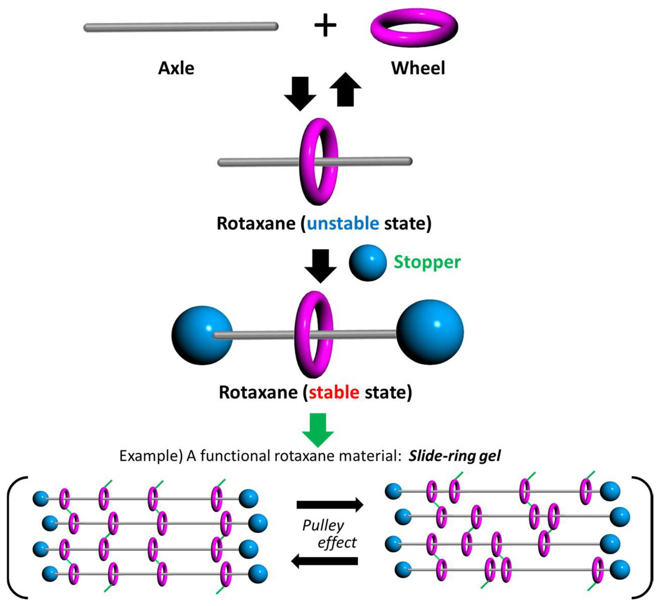 Reactions 04 00027 g001 Reactions 04 00027 g001