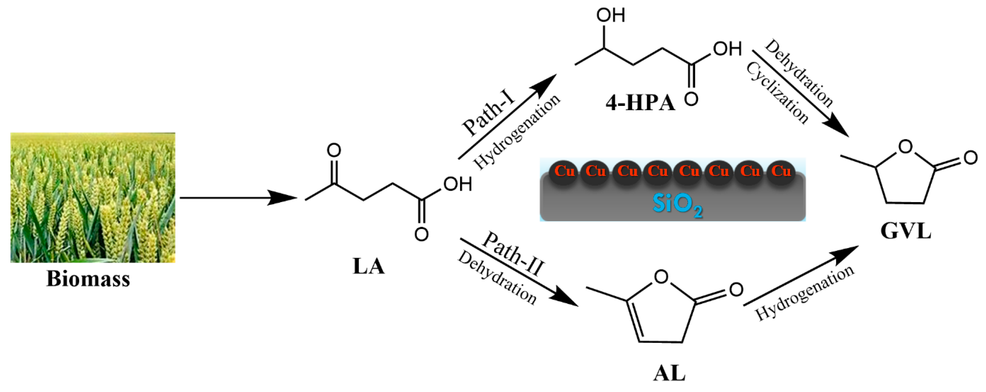 Reactions 04 00028 sch001