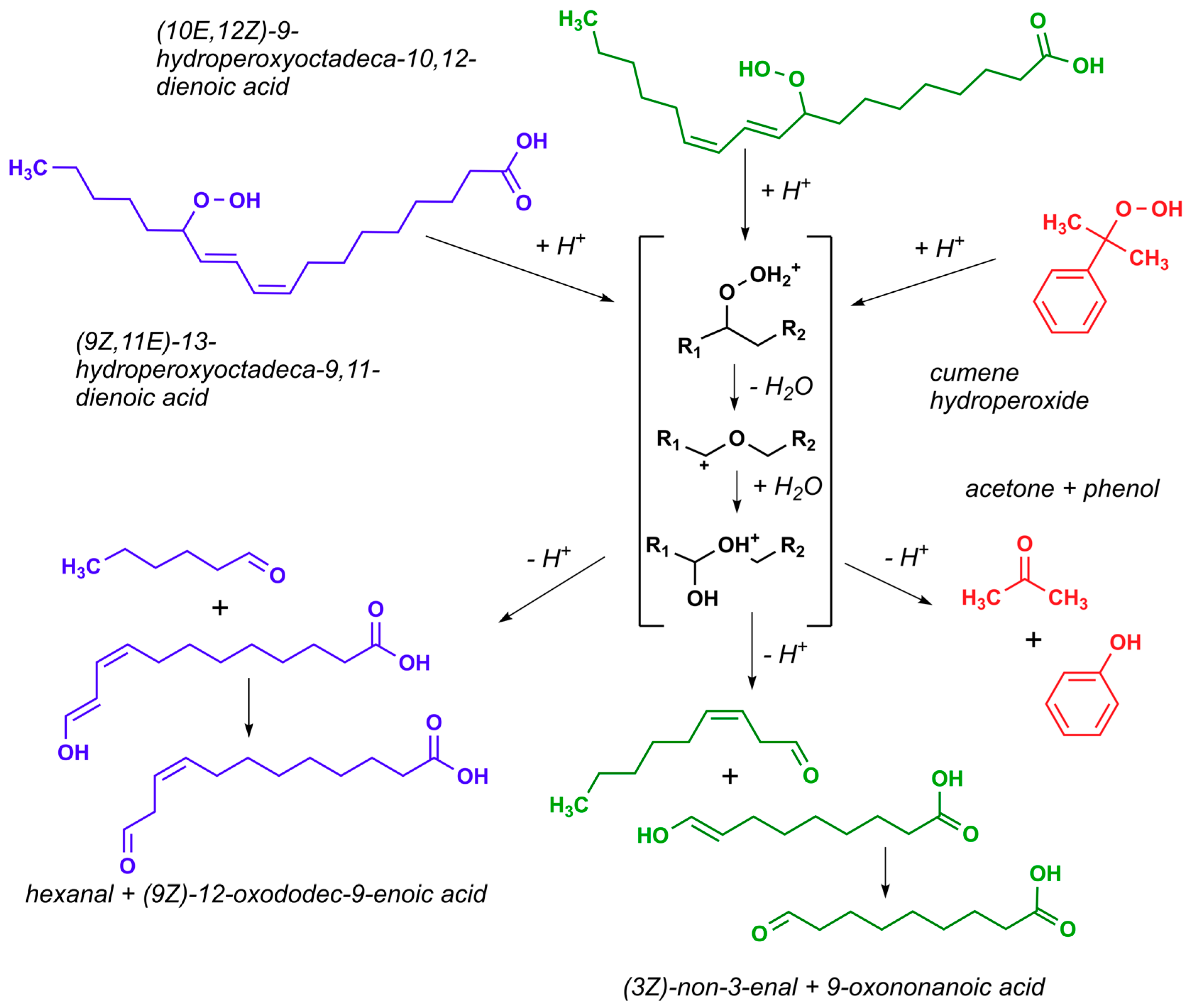 Reactions 04 00031 sch001