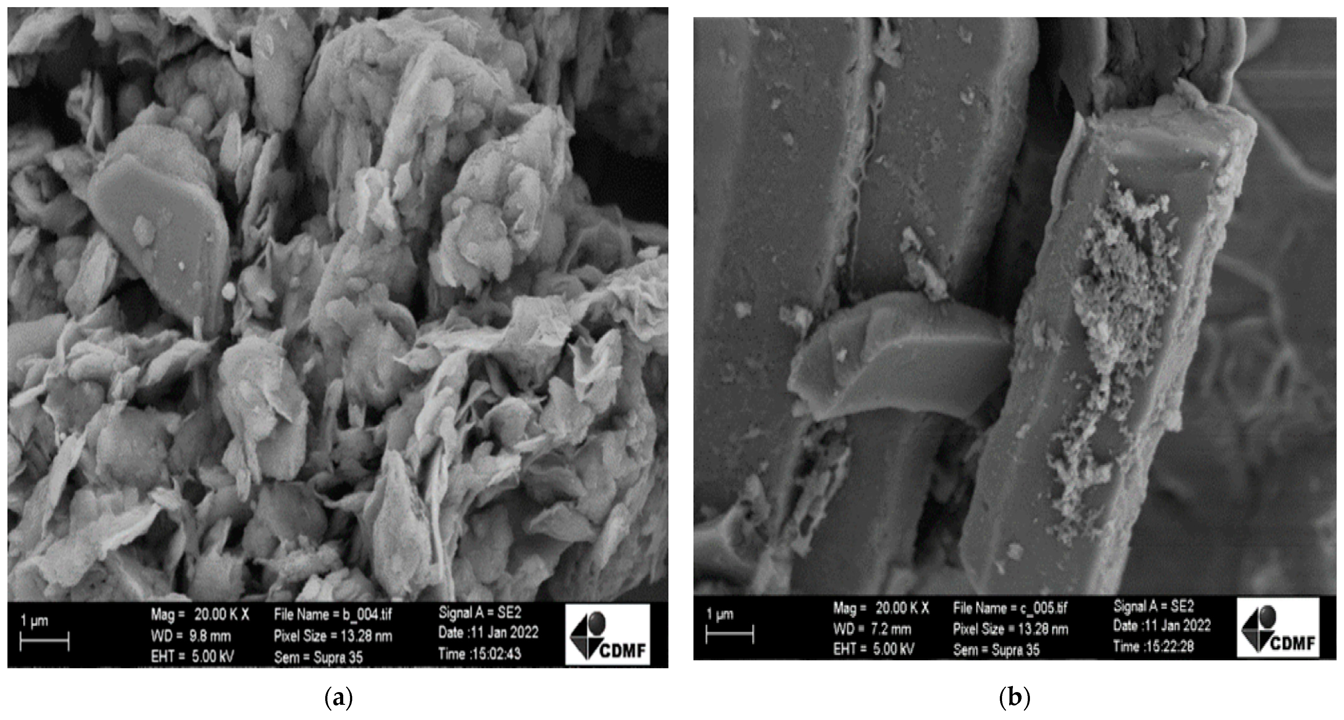Reactions 04 00033 g008a