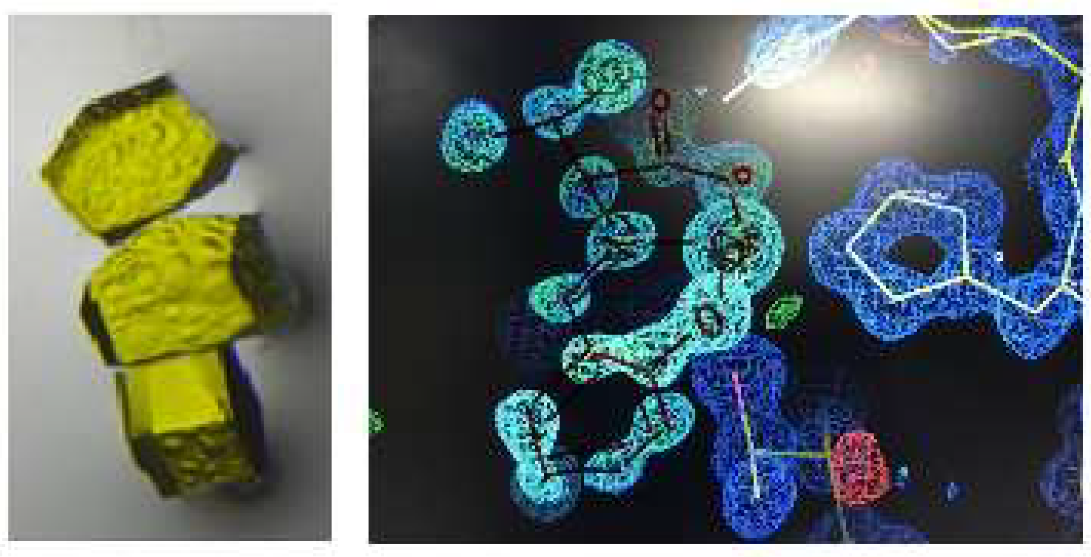 Reactions 04 00036 g002