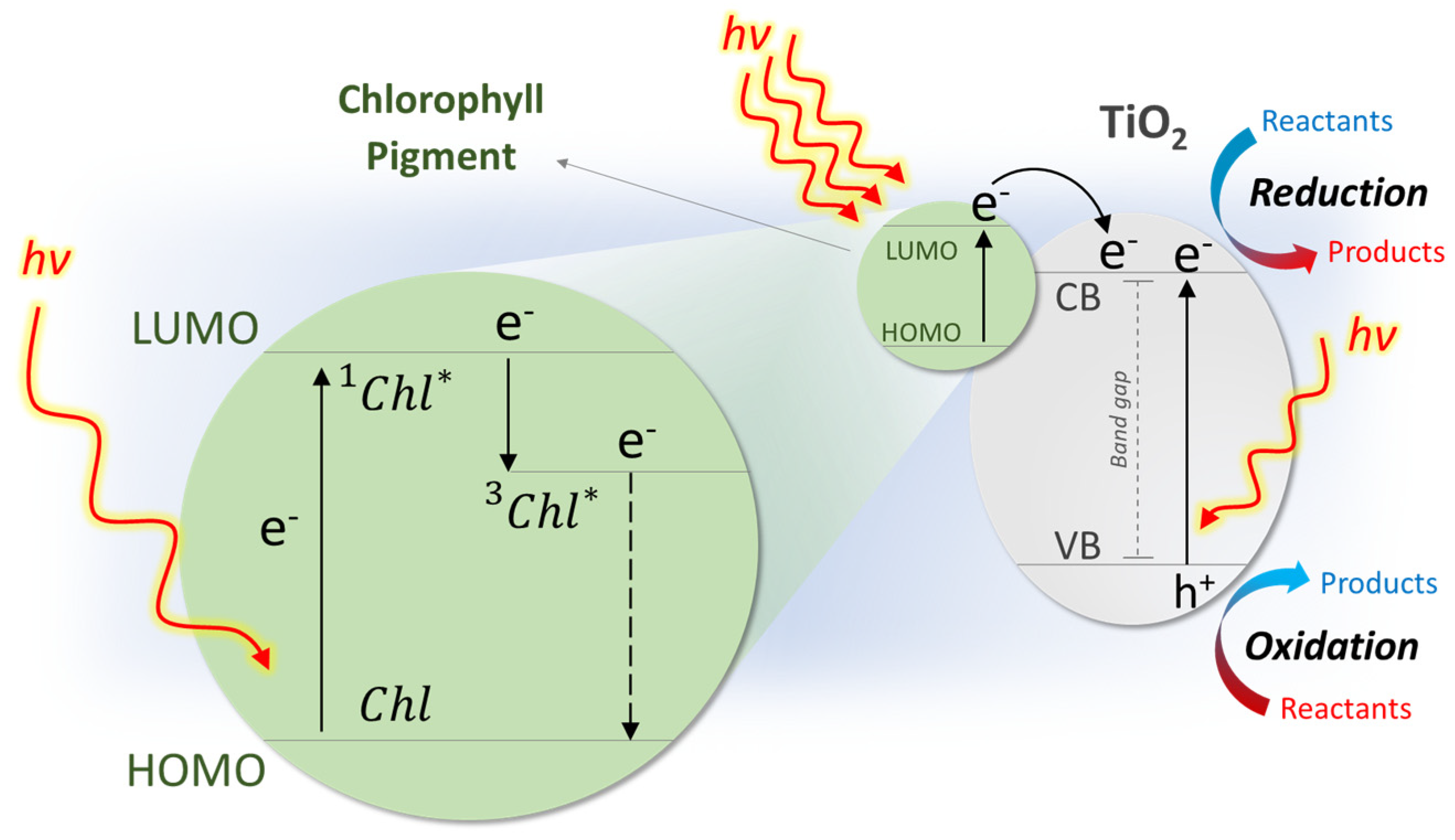 Reactions 04 00044 g004