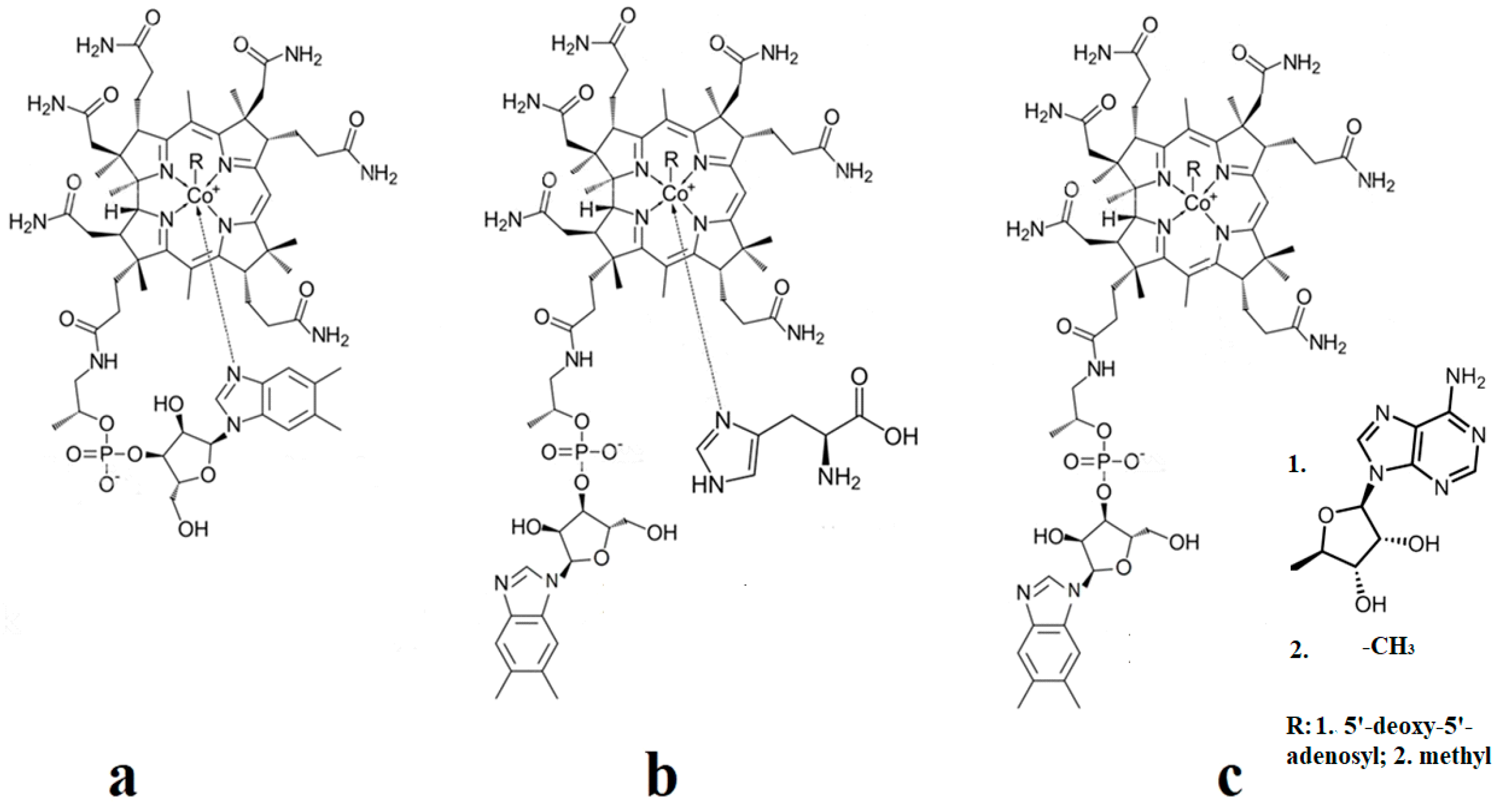 Reactions 05 00002 g001 Reactions 05 00002 g001