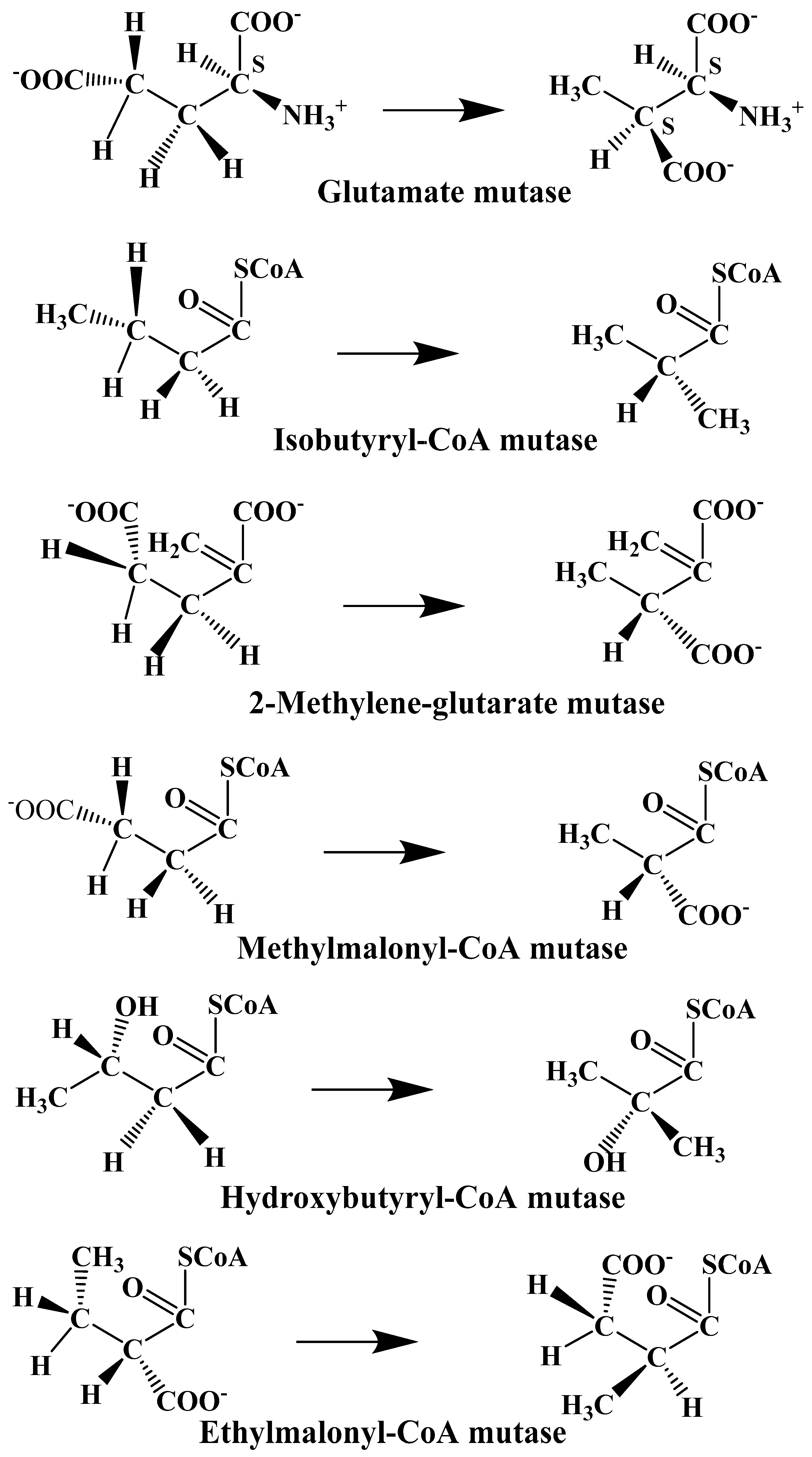 Reactions 05 00002 g003 Reactions 05 00002 g003