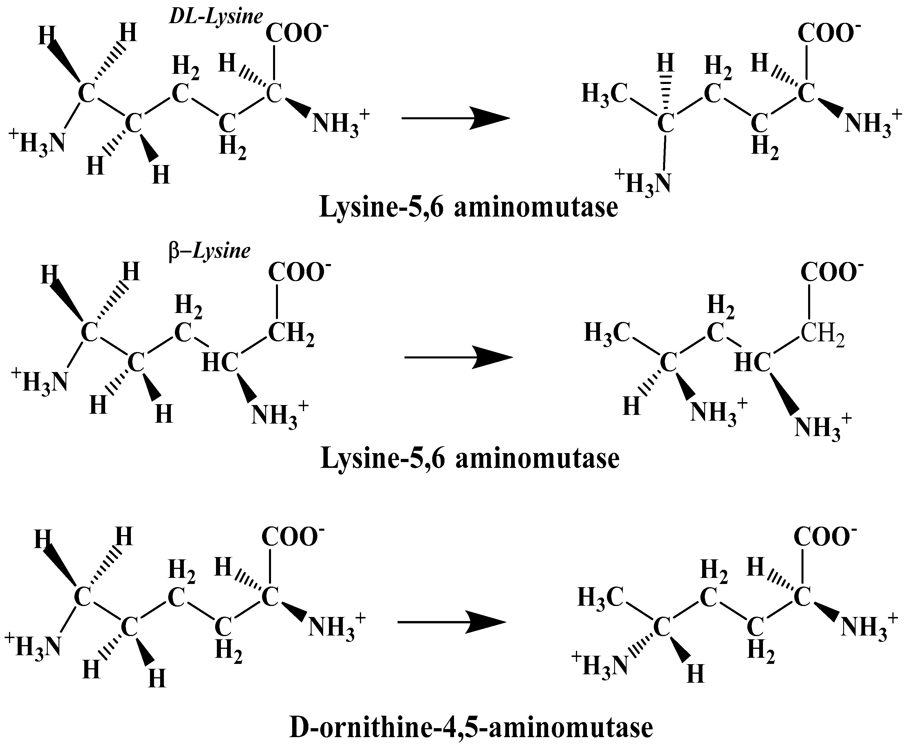 Reactions 05 00002 g004 Reactions 05 00002 g004