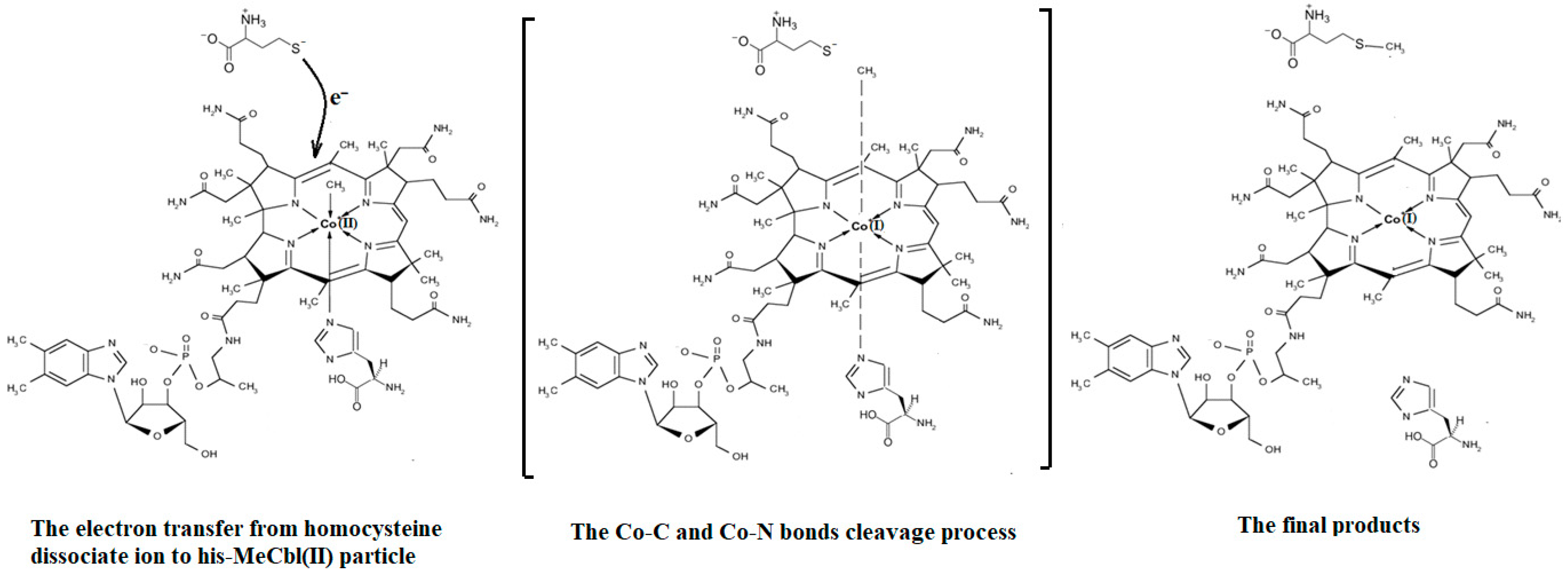Reactions 05 00002 g014 Reactions 05 00002 g014