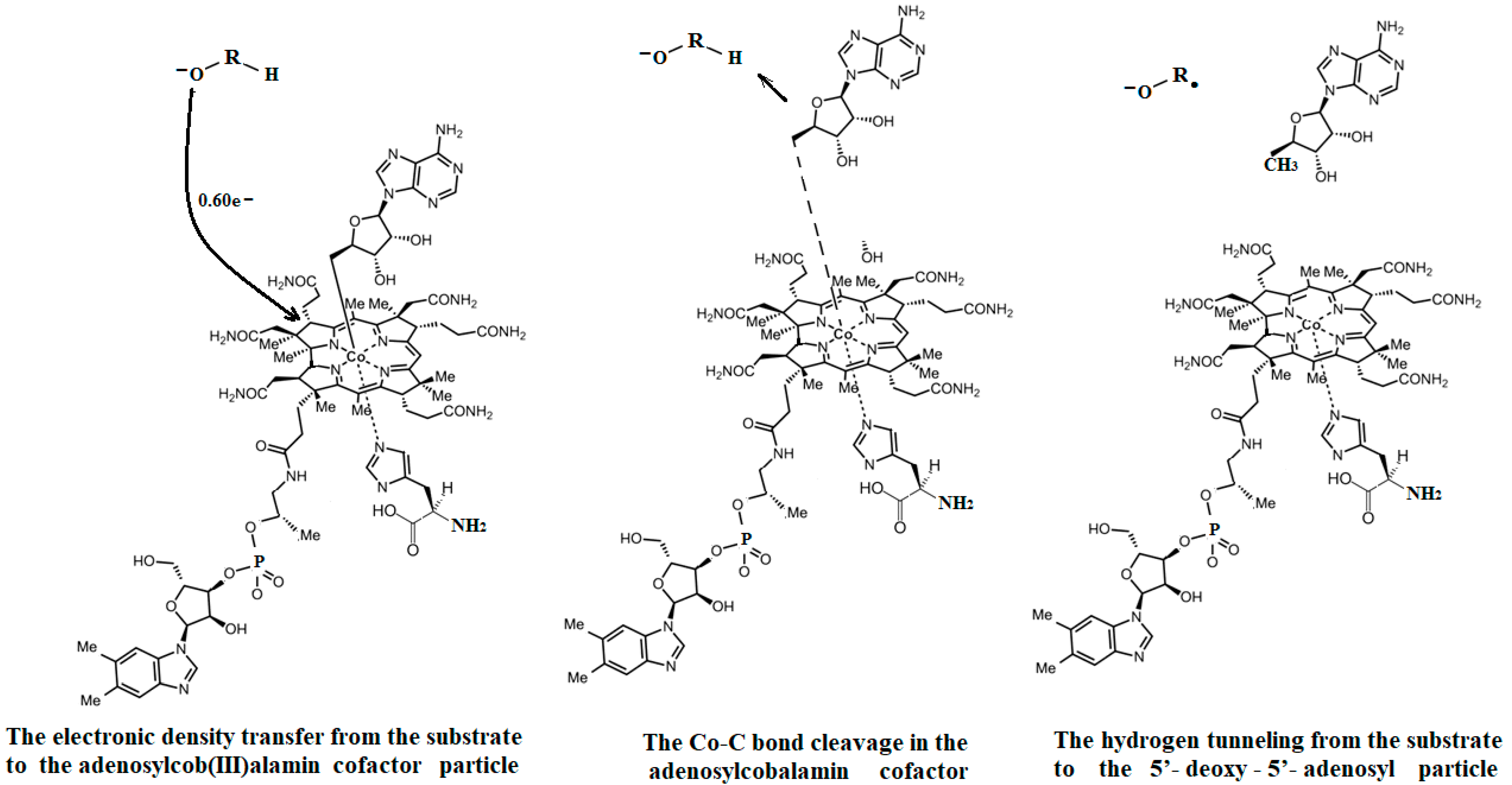 Reactions 05 00002 g028 Reactions 05 00002 g028