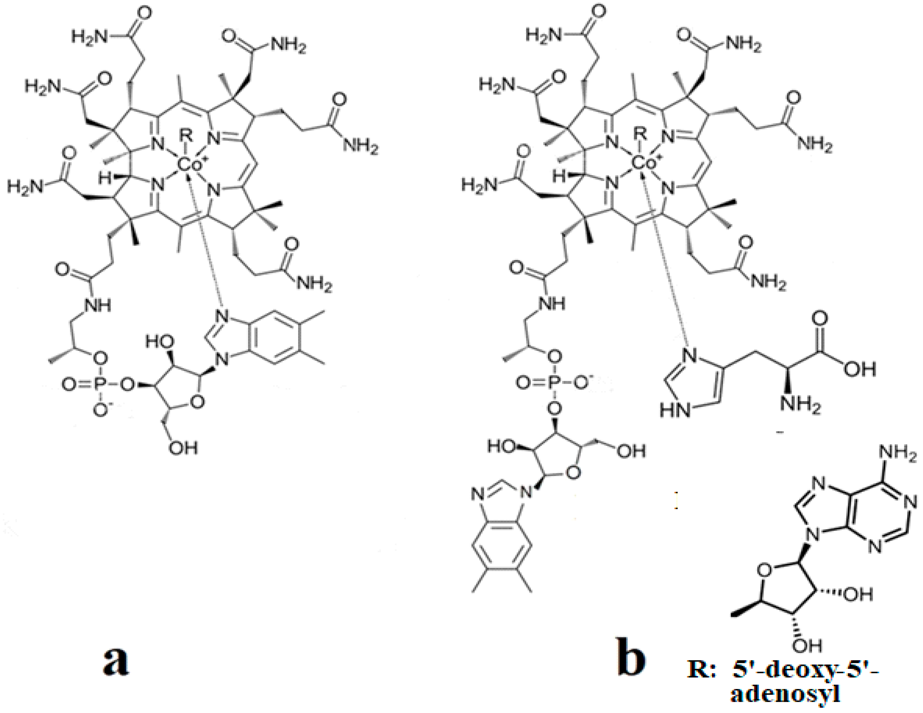 Reactions 05 00002 g031 Reactions 05 00002 g031