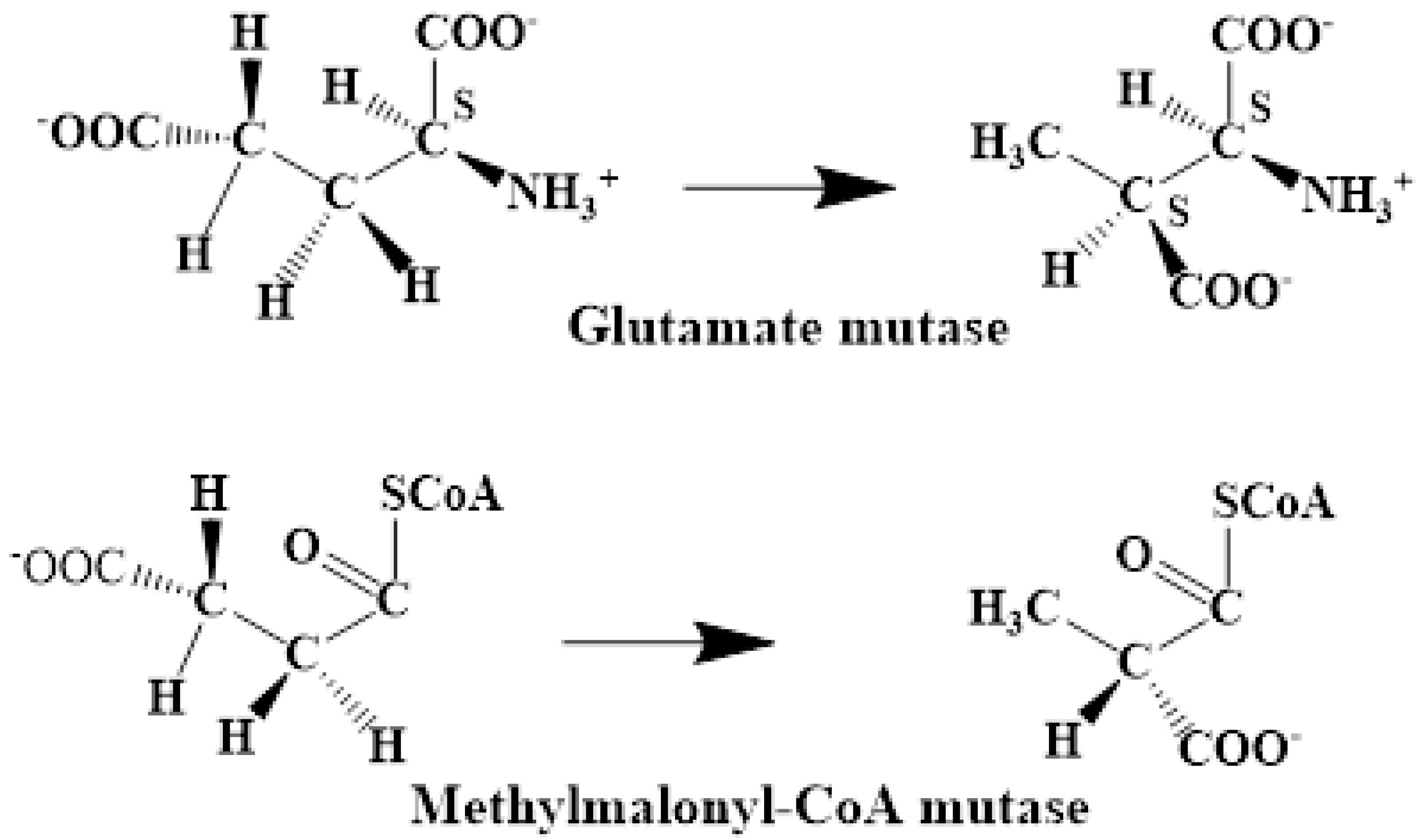 Reactions 05 00002 g032 Reactions 05 00002 g032