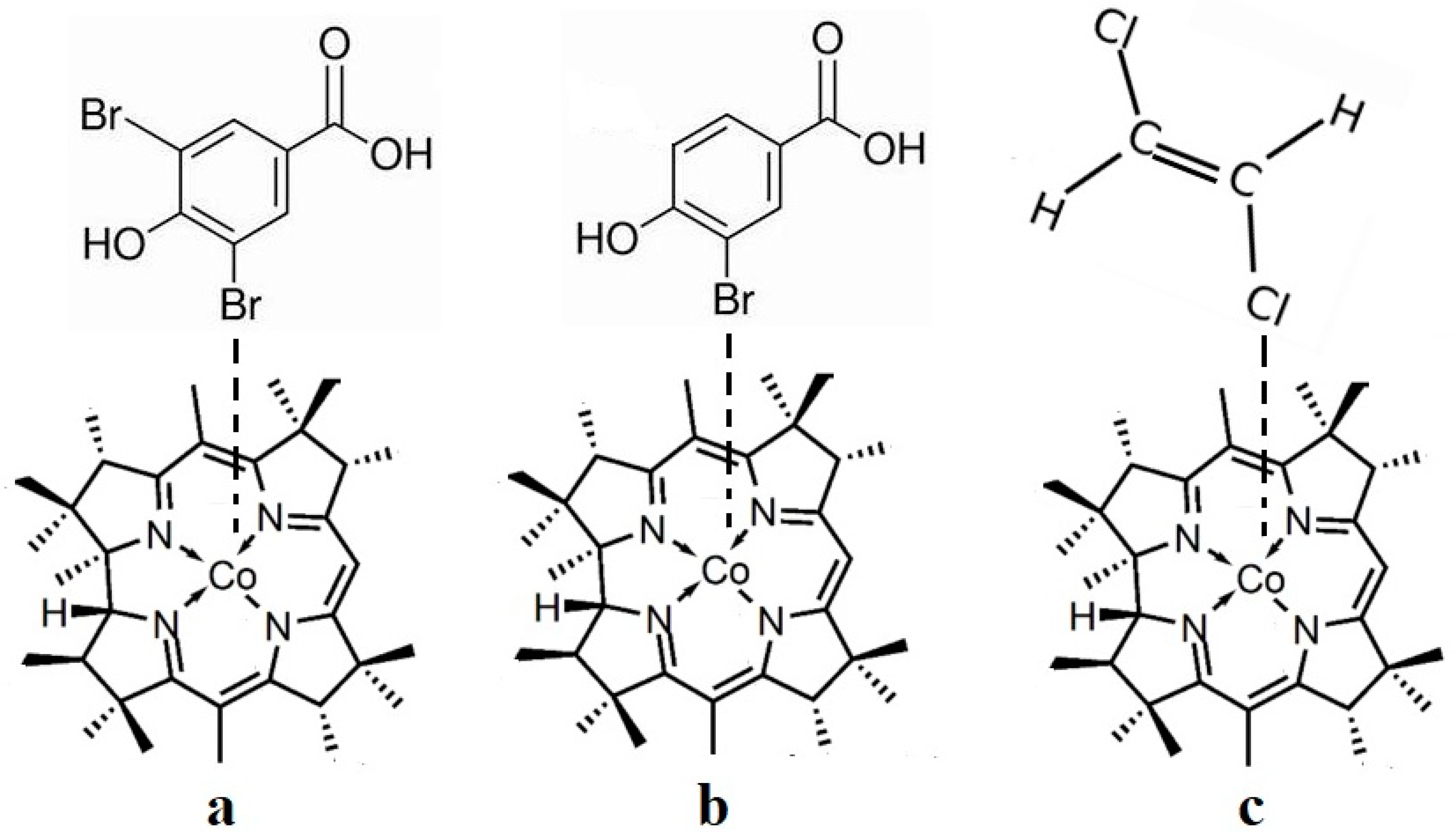 Reactions 05 00002 g036 Reactions 05 00002 g036