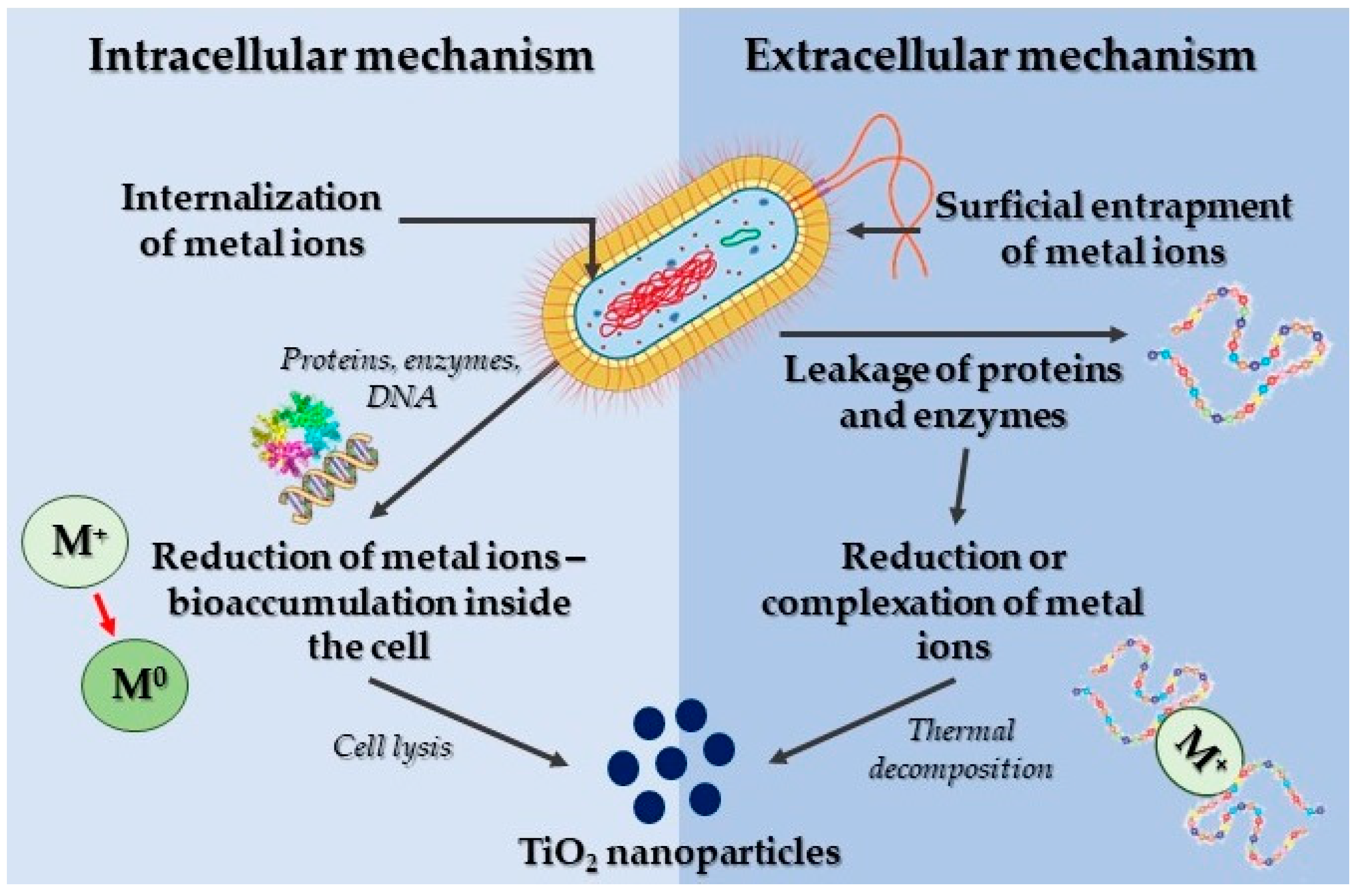 Reactions 05 00007 g005