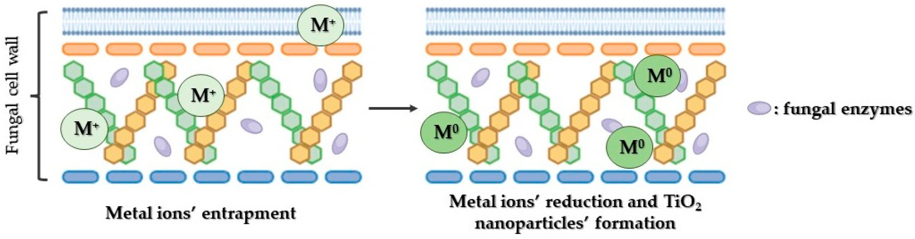 Reactions 05 00007 g006