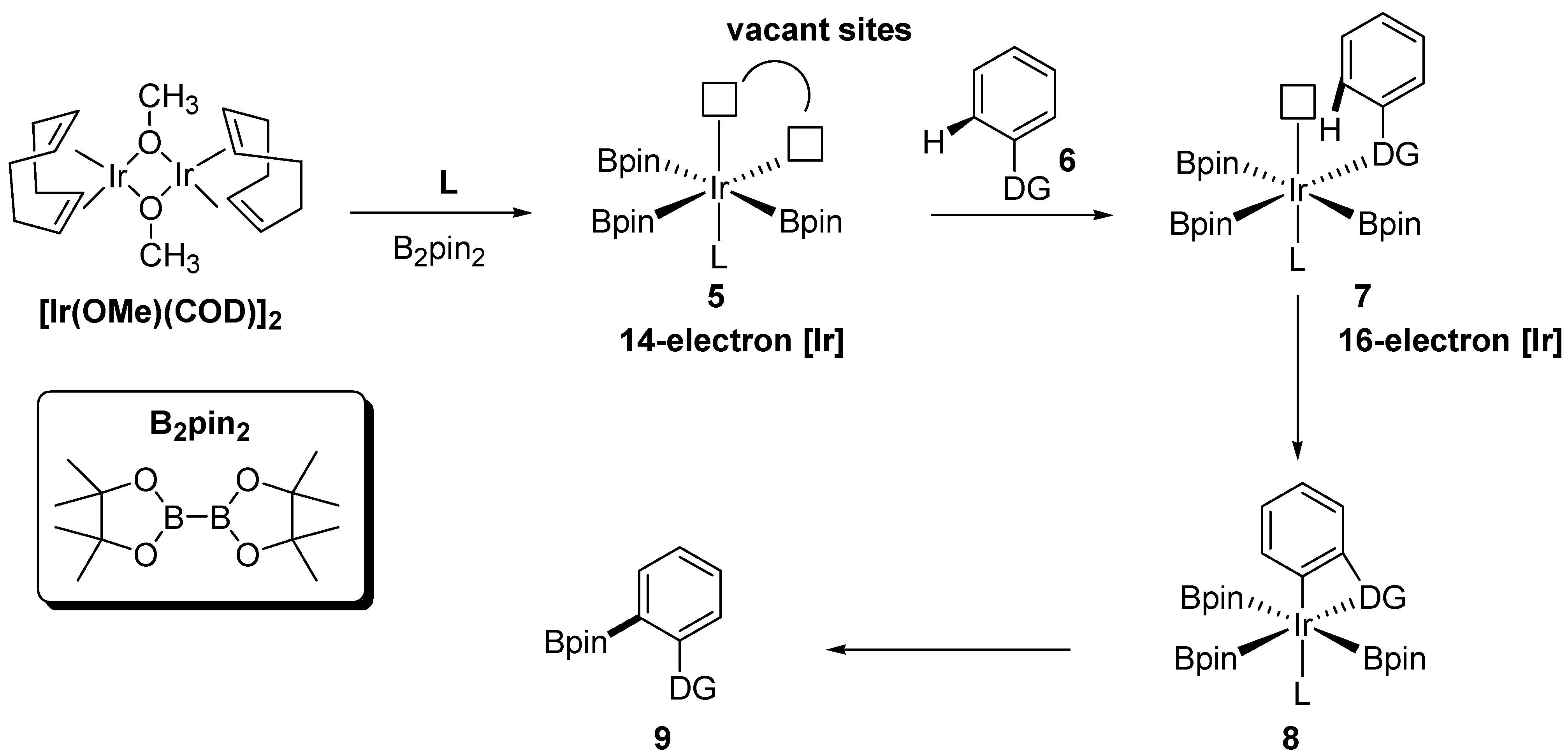 Reactions 05 00016 sch004