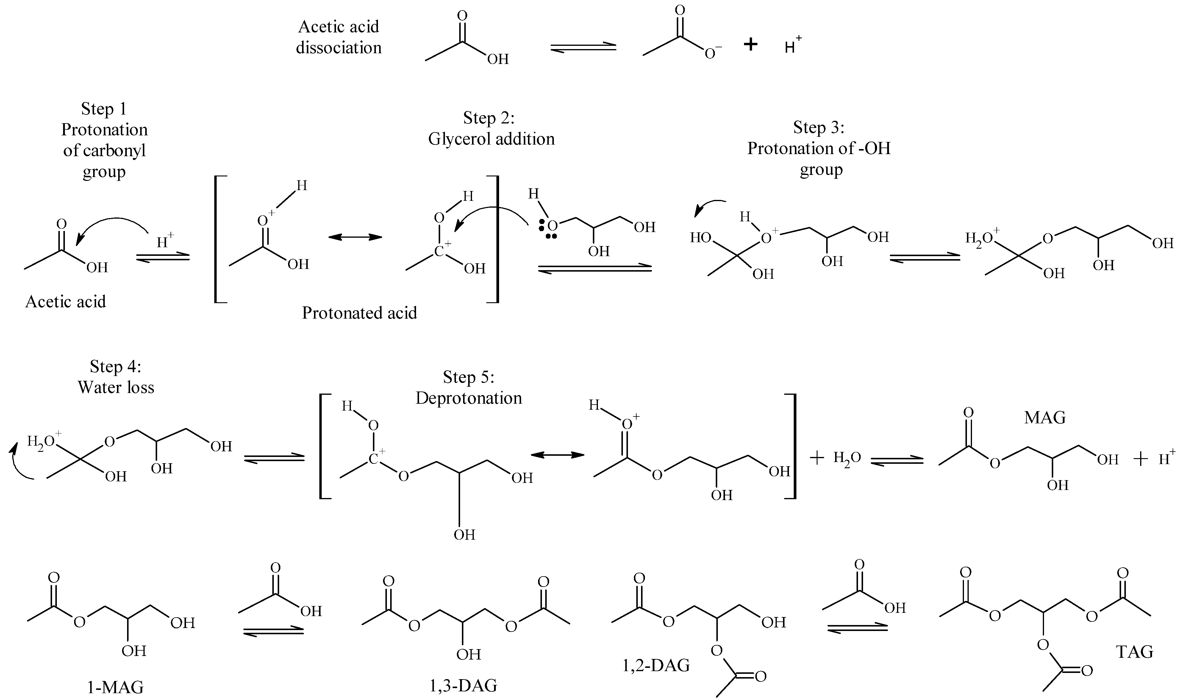 Reactions 05 00025 sch002