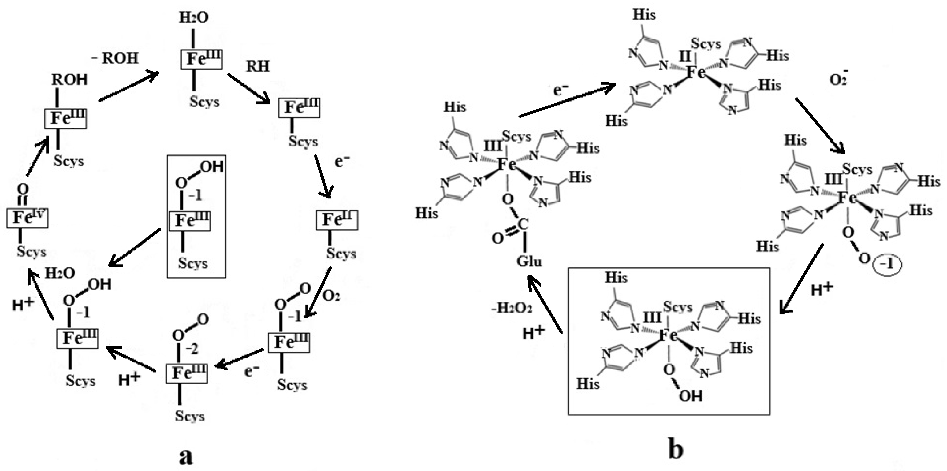Reactions 05 00039 sch001 Reactions 05 00039 sch001