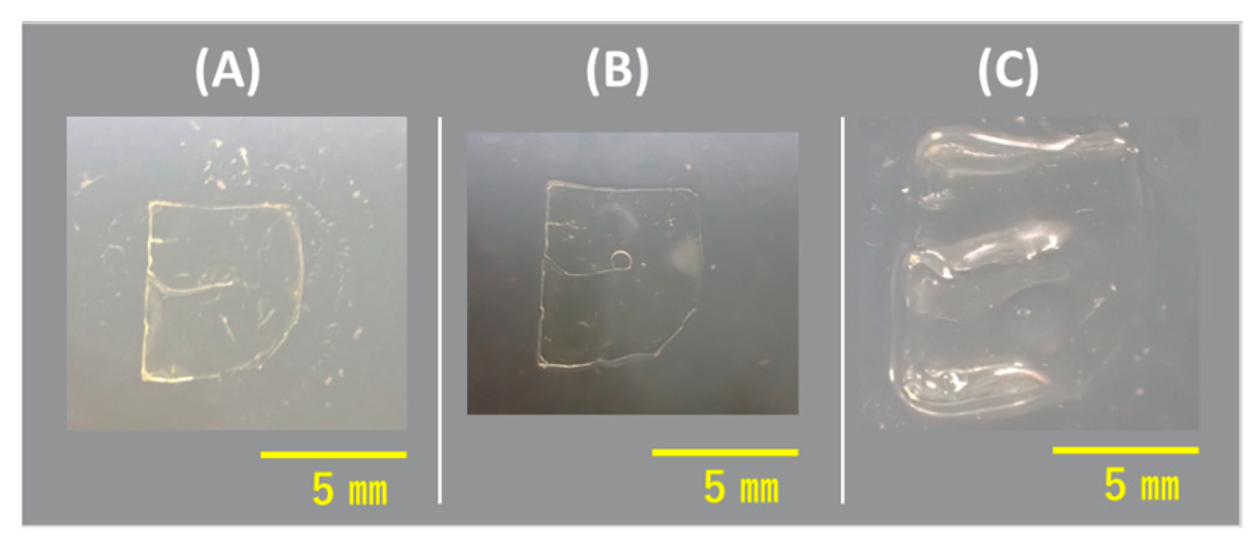 Reactions 05 00041 g002 Reactions 05 00041 g002