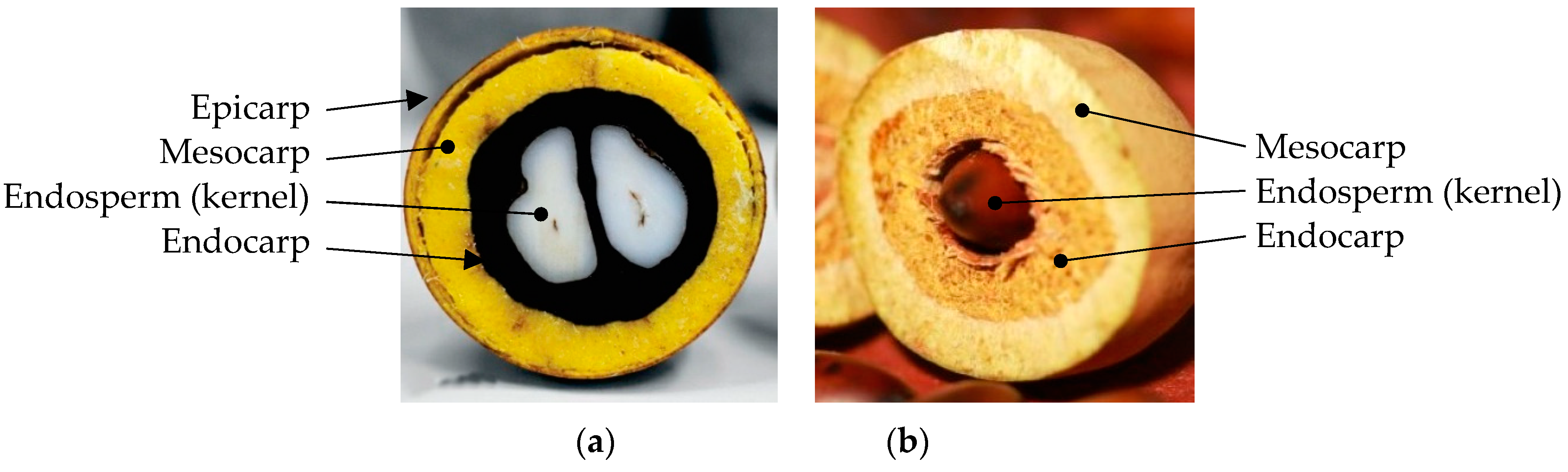 Reactions 05 00043 g001