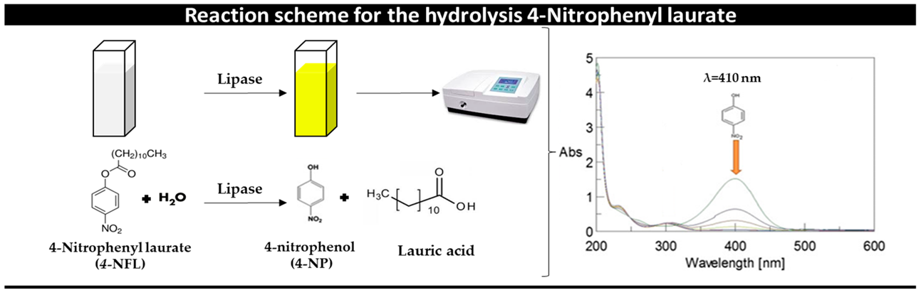 Reactions 05 00054 i001
