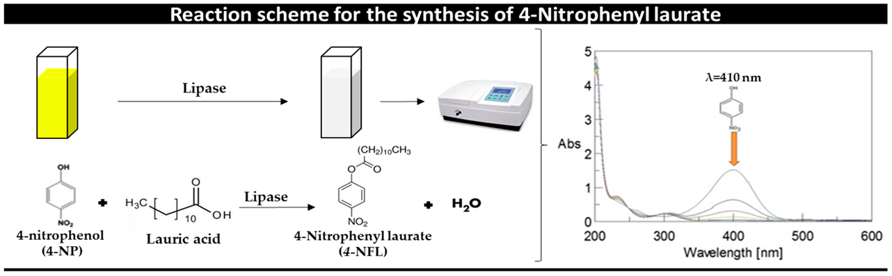 Reactions 05 00054 i002