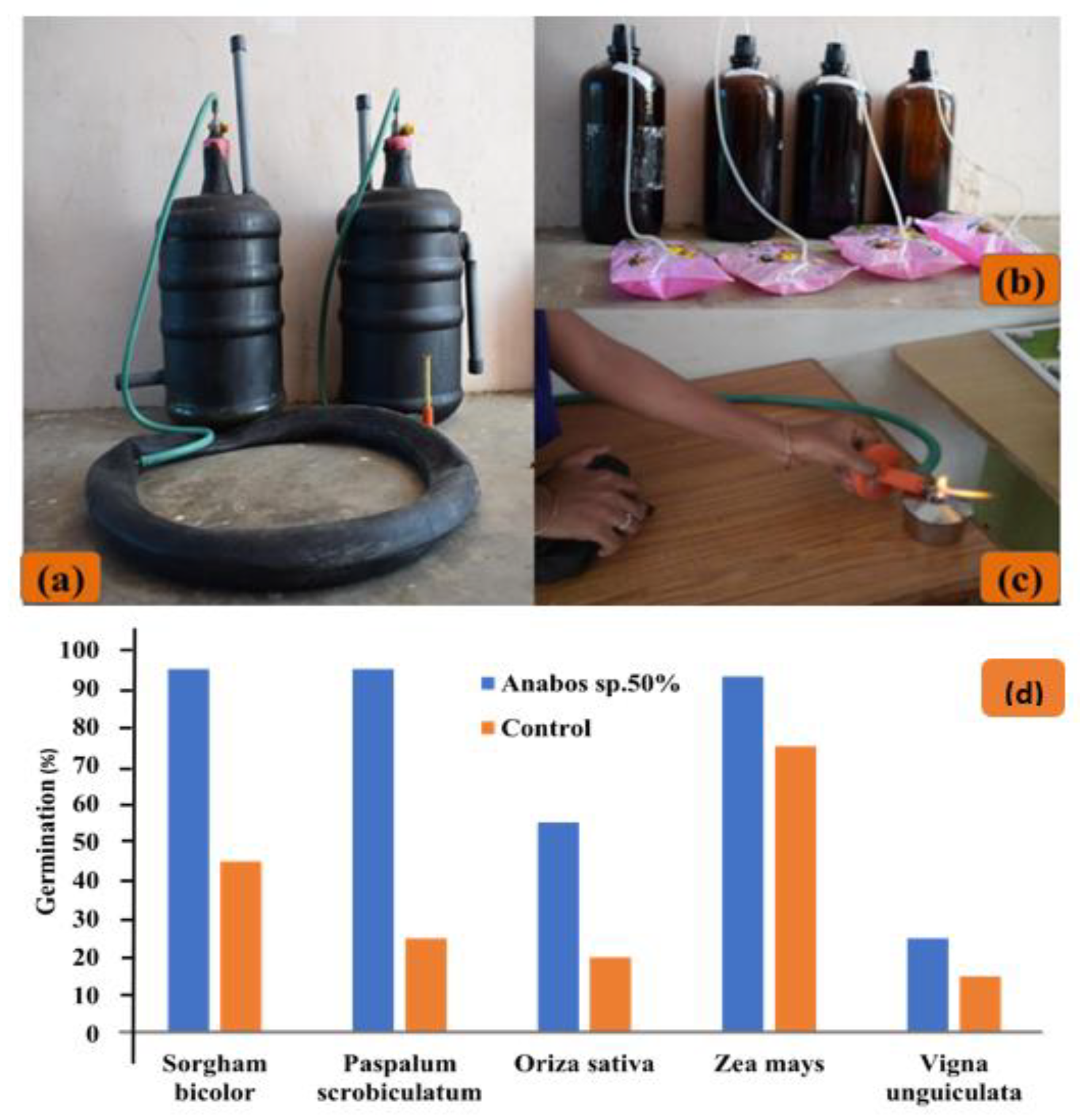 Reactions 05 00059 g004