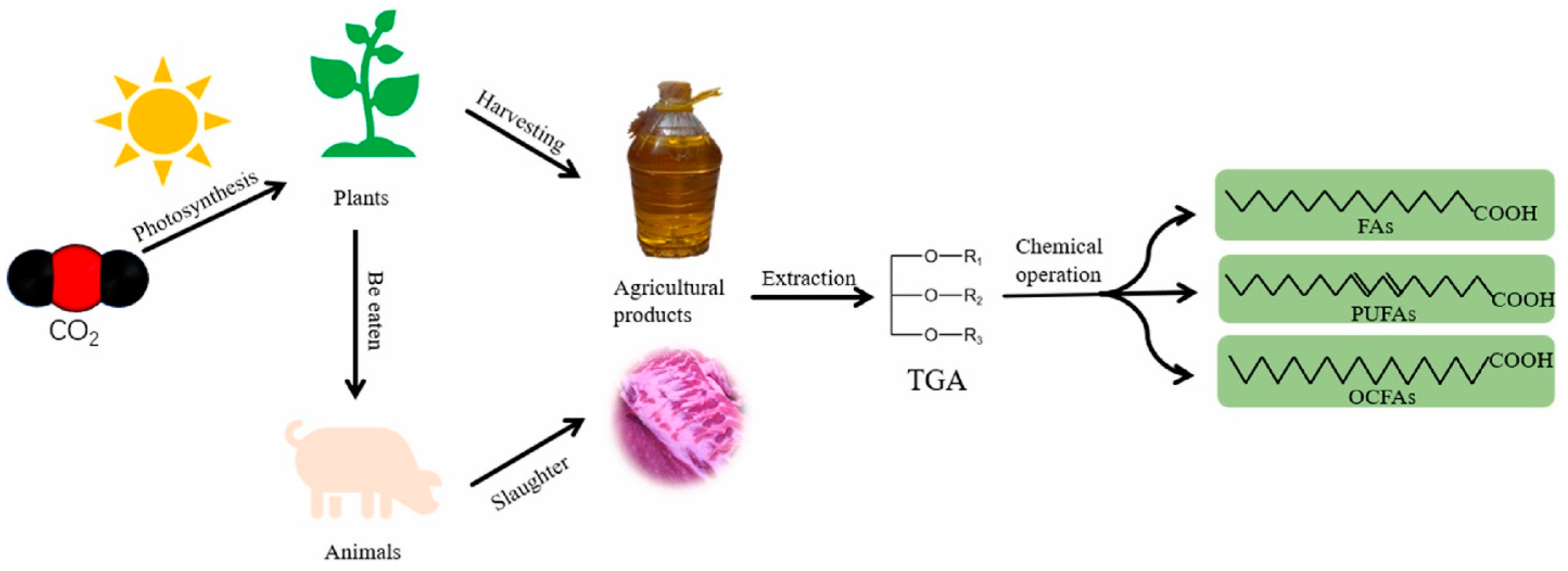 Reactions 05 00059 g011
