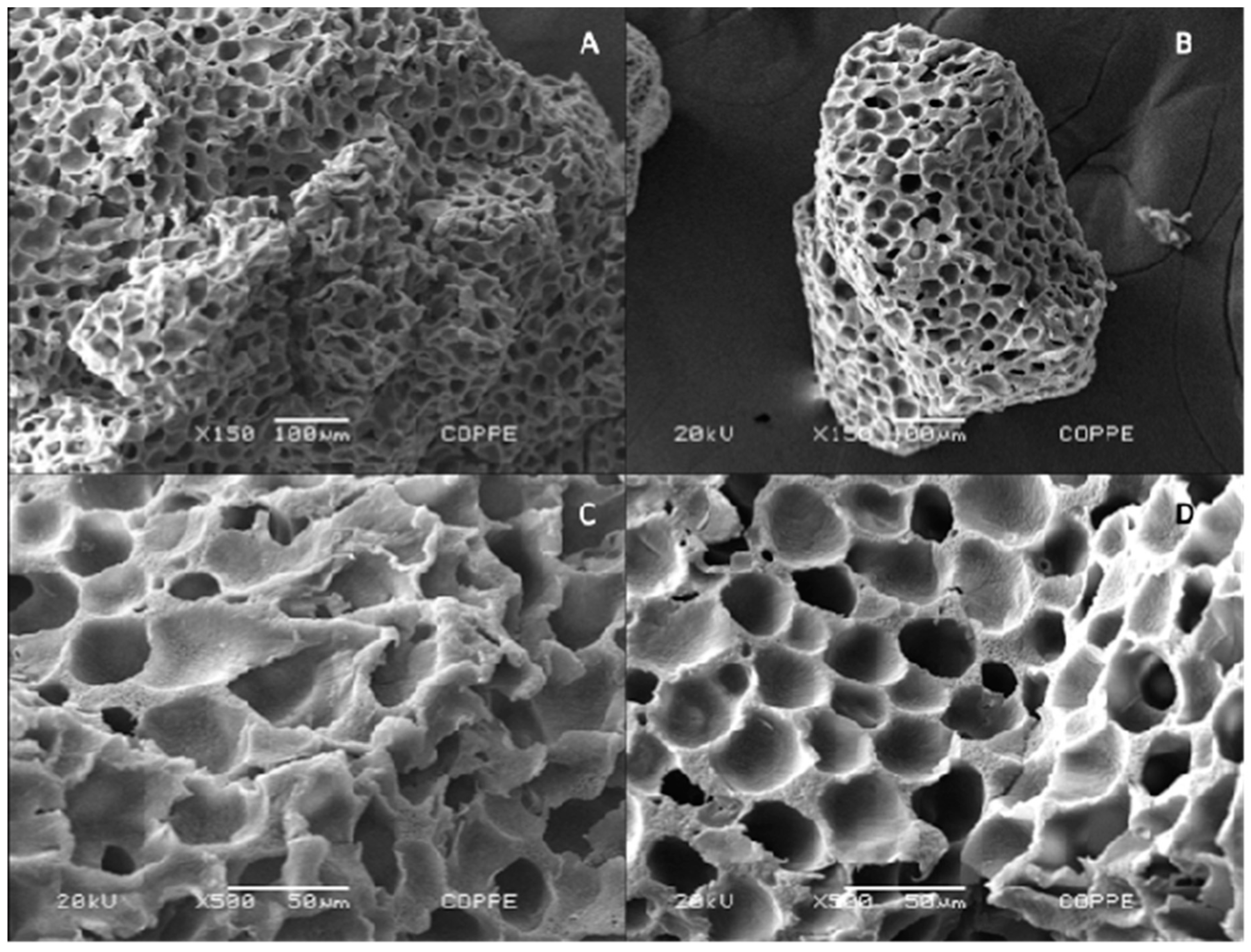 Production of Lipase from Streptomyces spp. AM9-01 by Solid Production of Lipase from Streptomyces spp. AM9-01 by Solid