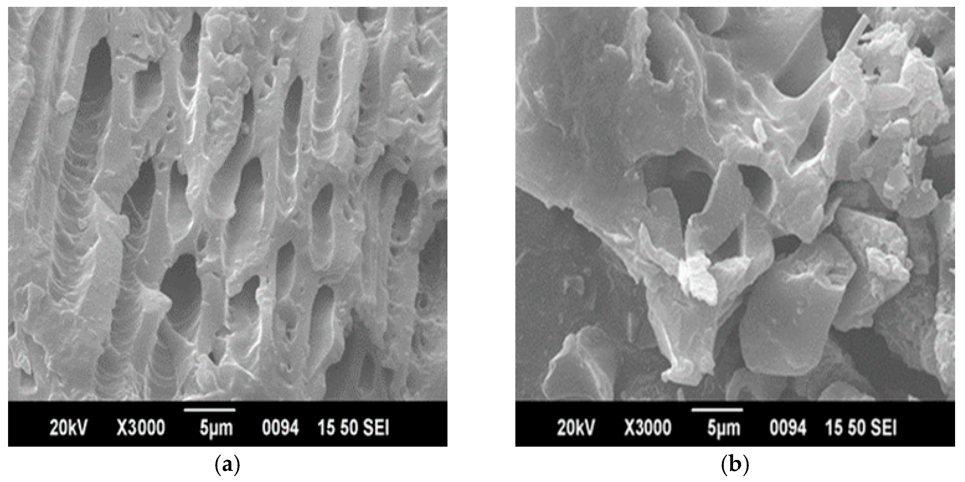 Reactions 06 00057 g001