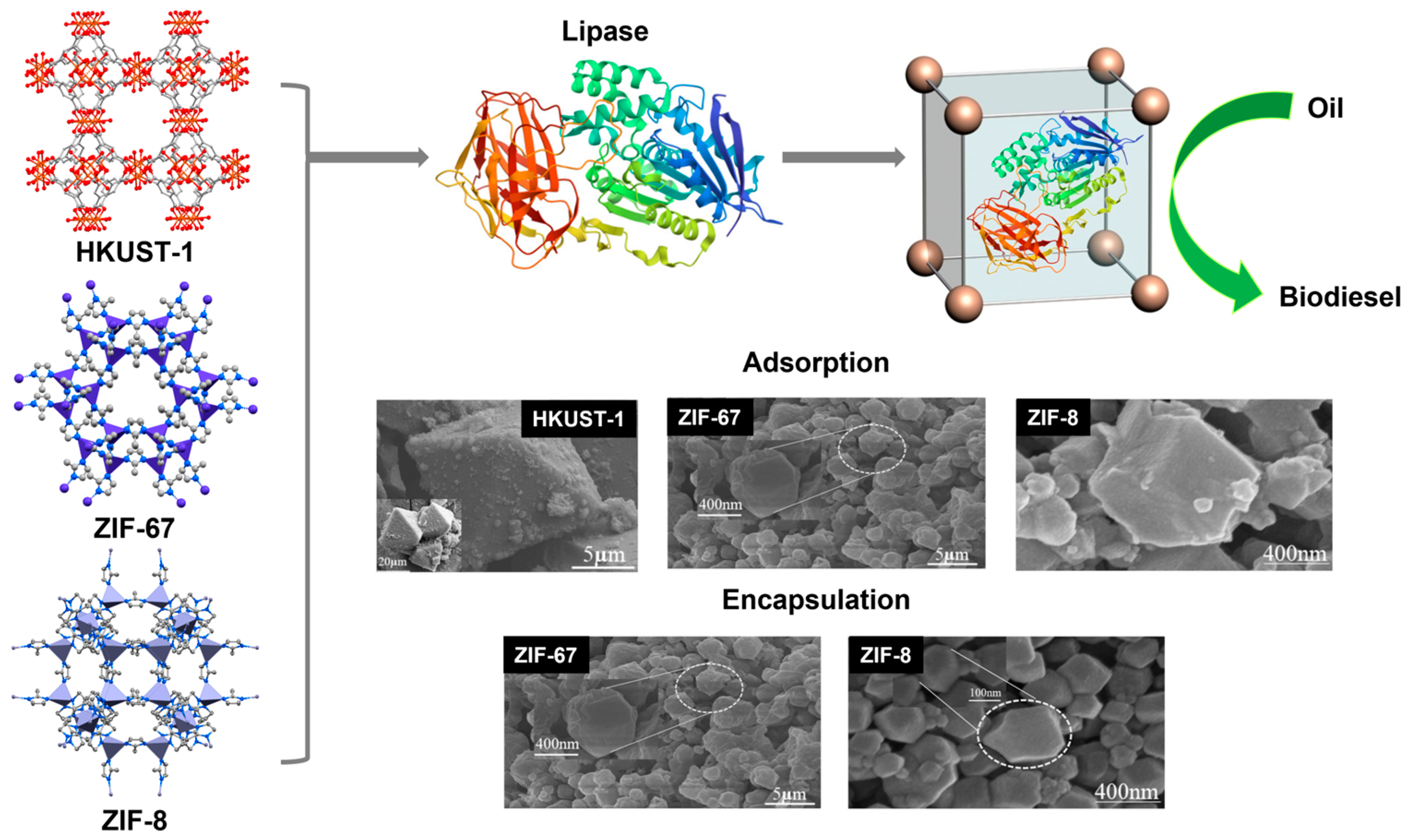 Reactions 06 00058 g025