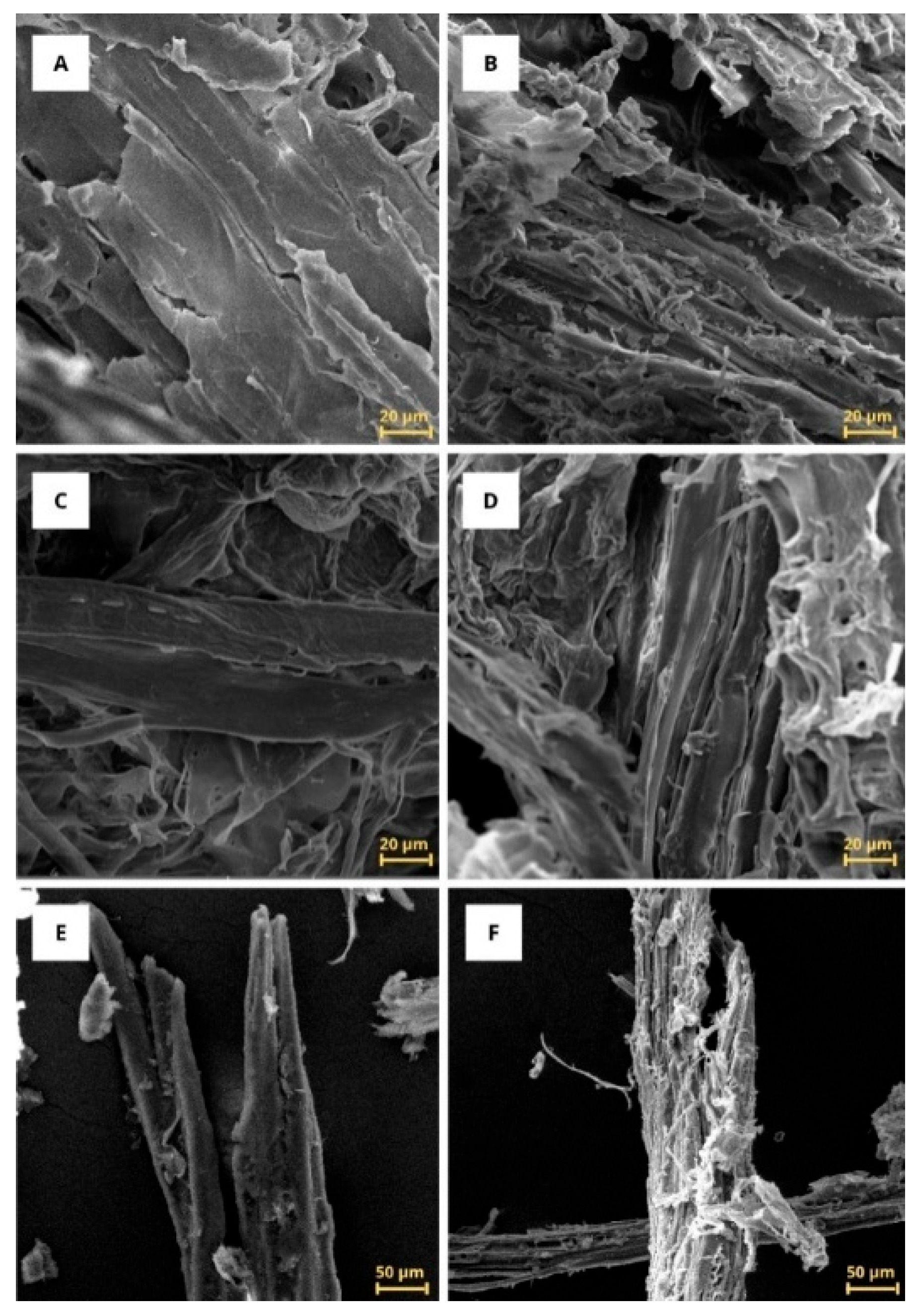 Reactions 06 00060 g003 Reactions 06 00060 g003
