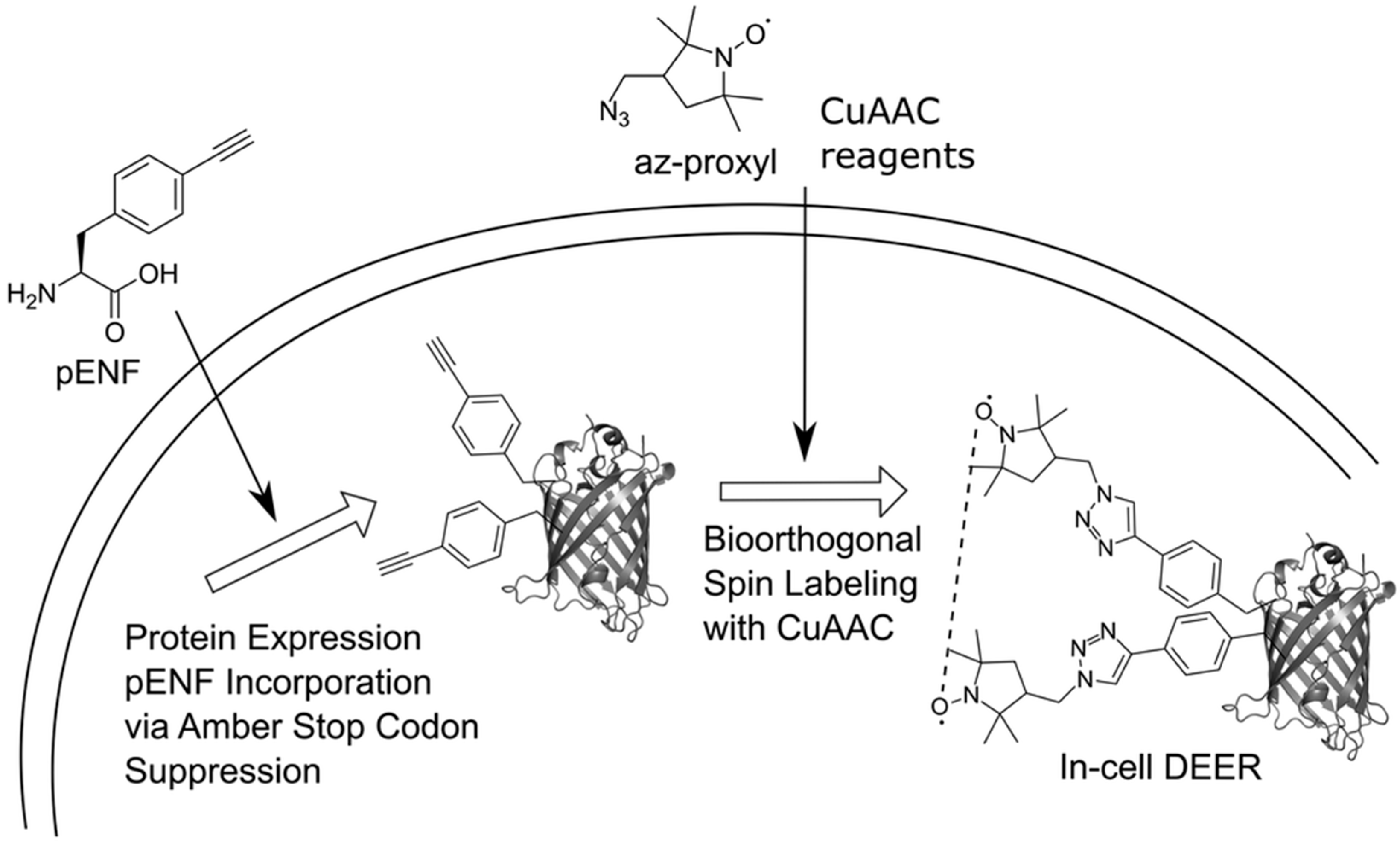Reactions 07 00012 g001