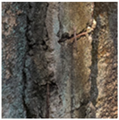 Realestate 02 00020 i003