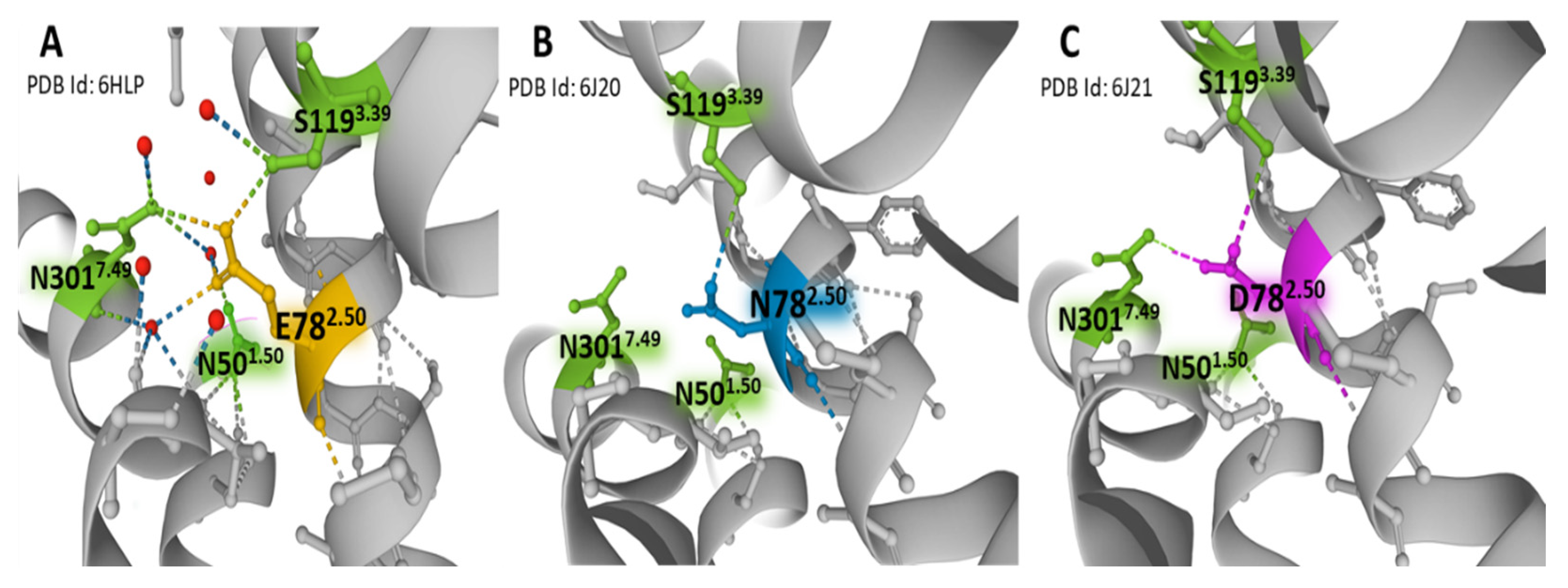 Receptors 01 00004 g005 Receptors 01 00004 g005