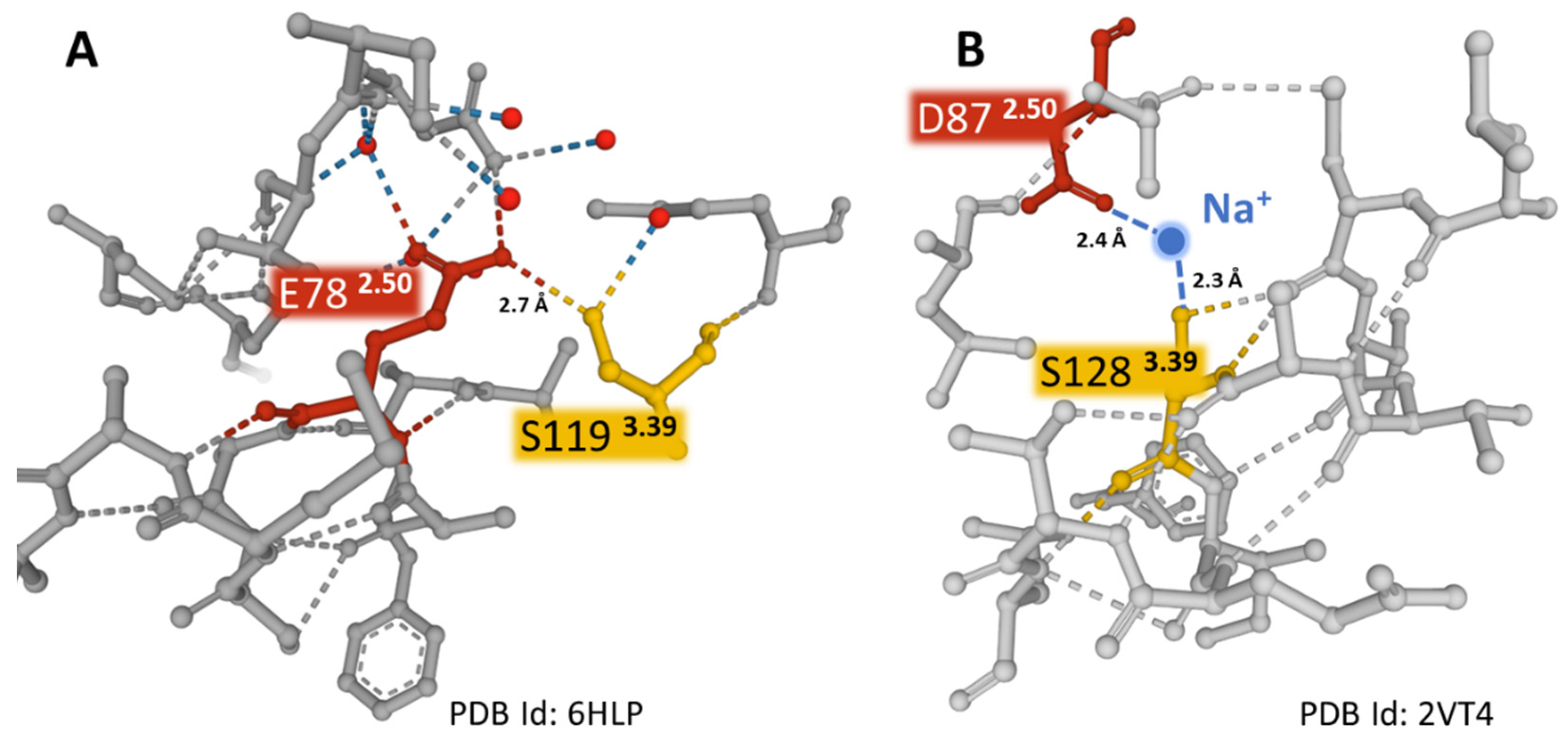 Receptors 01 00004 g006 Receptors 01 00004 g006