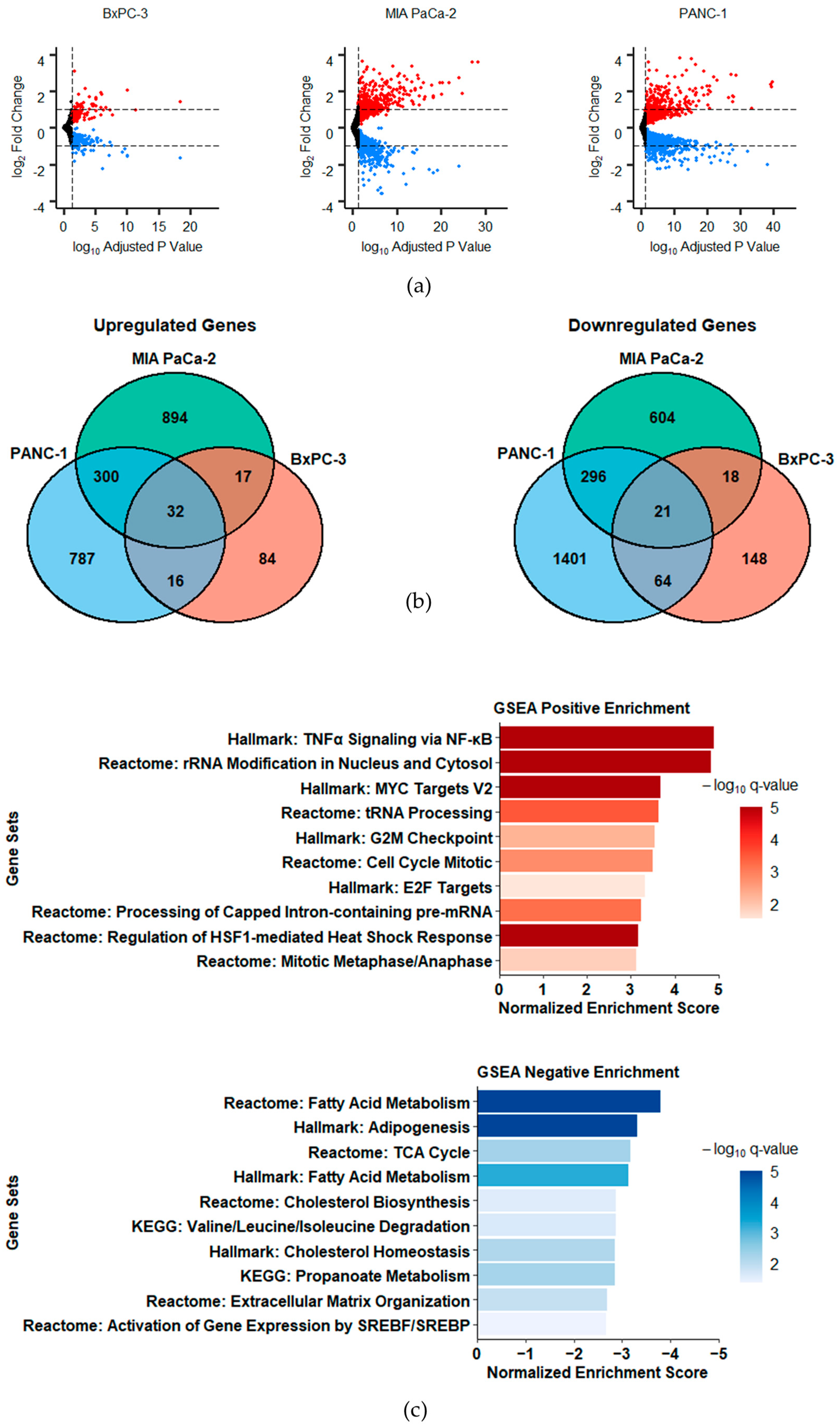 Receptors 02 00003 g001 Receptors 02 00003 g001