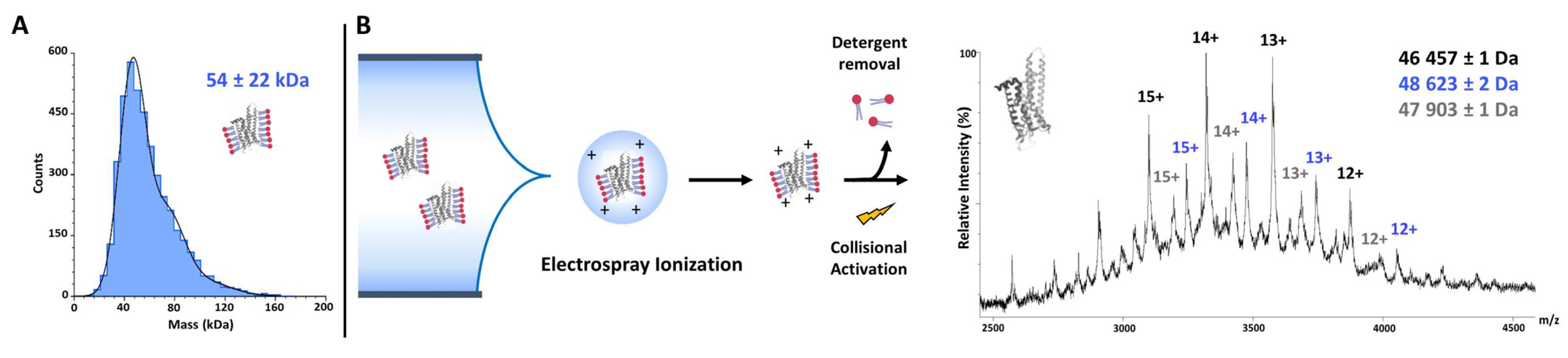 Receptors 02 00004 g001 Receptors 02 00004 g001