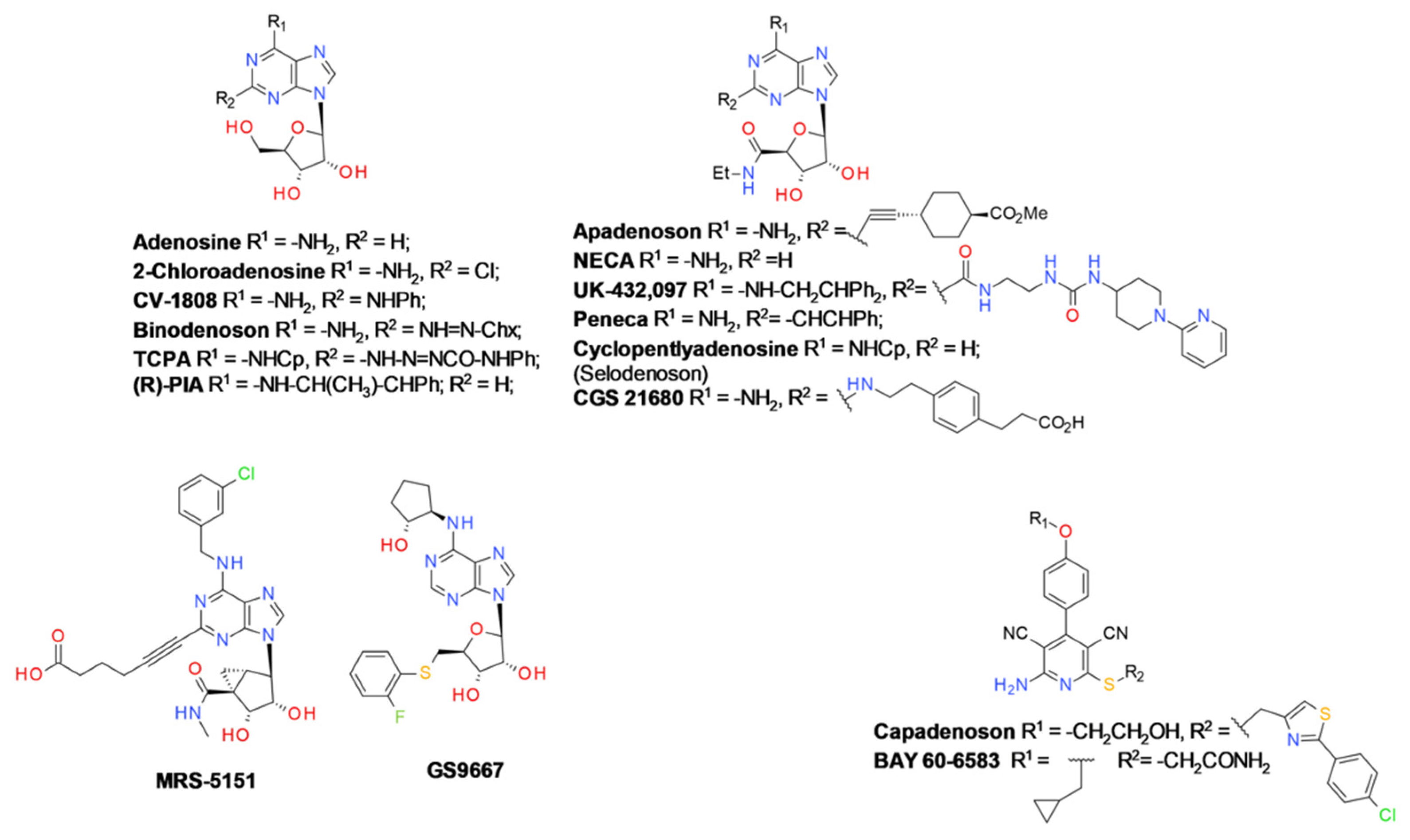 Receptors 02 00004 g007 Receptors 02 00004 g007
