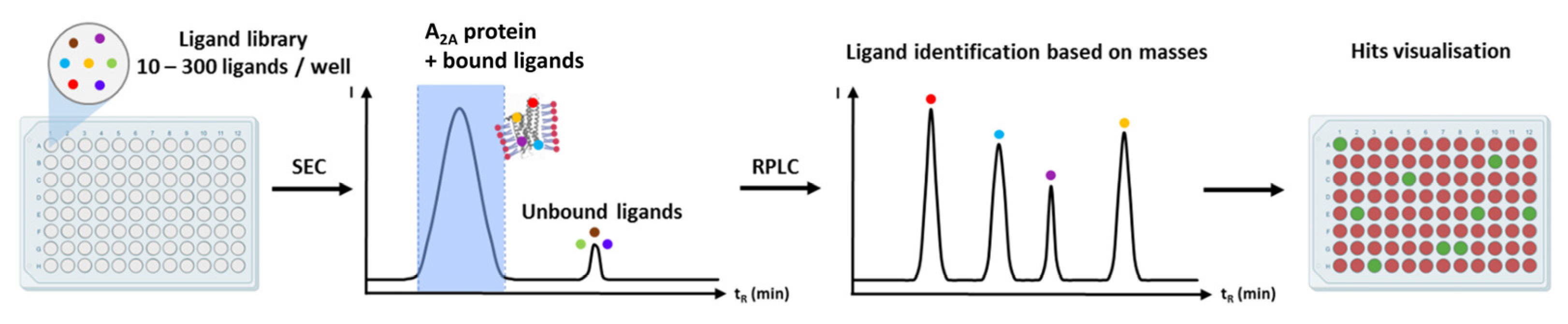 Receptors 02 00004 g012 Receptors 02 00004 g012
