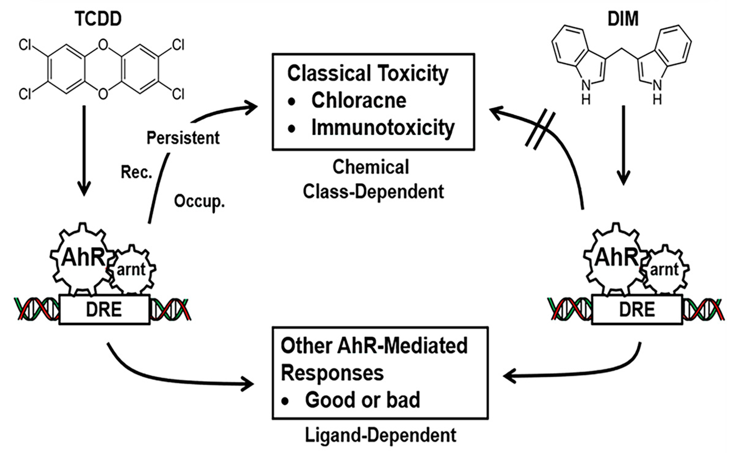Receptors 02 00005 g001 Receptors 02 00005 g001