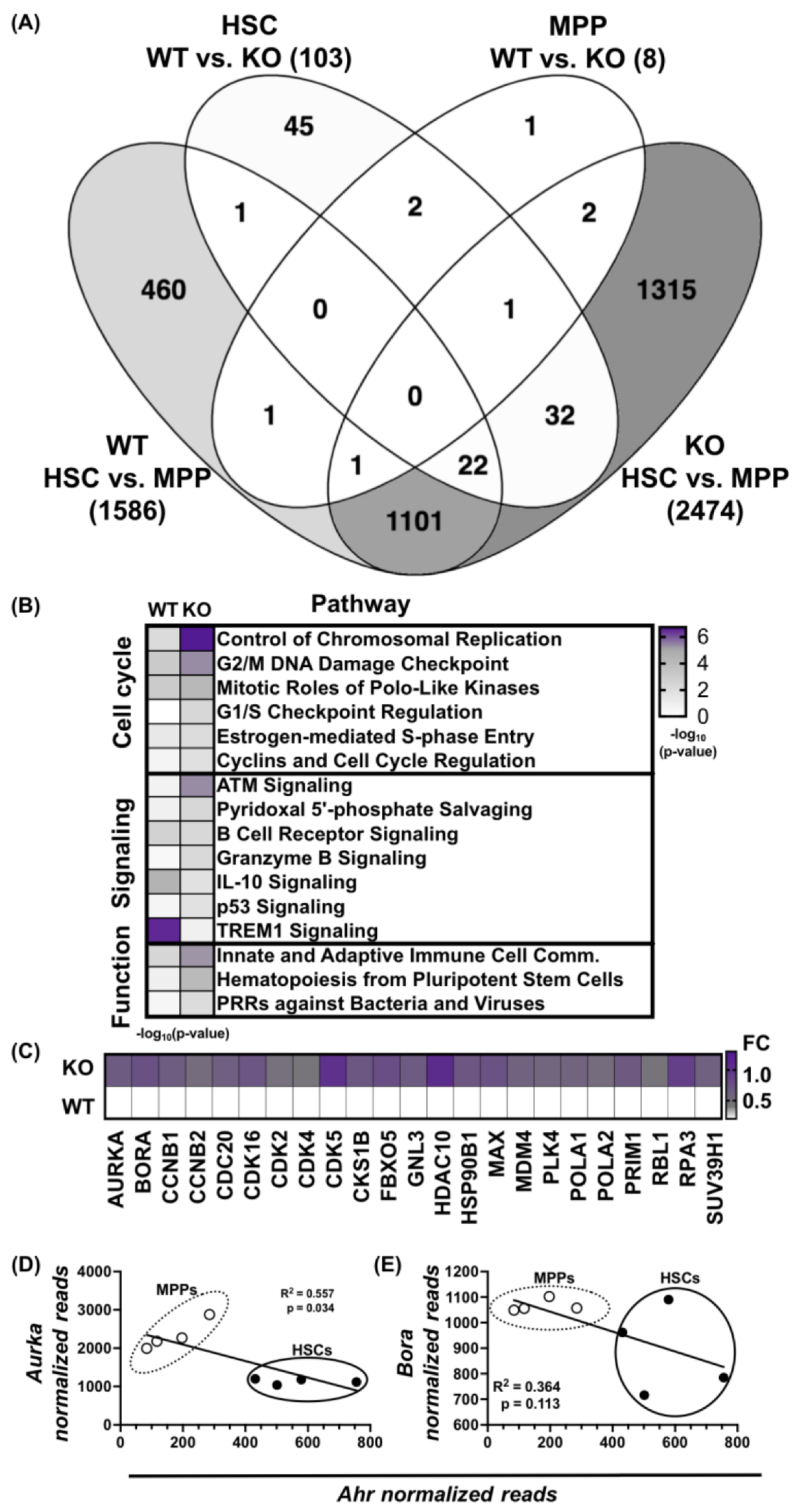 Receptors 02 00006 g002 Receptors 02 00006 g002