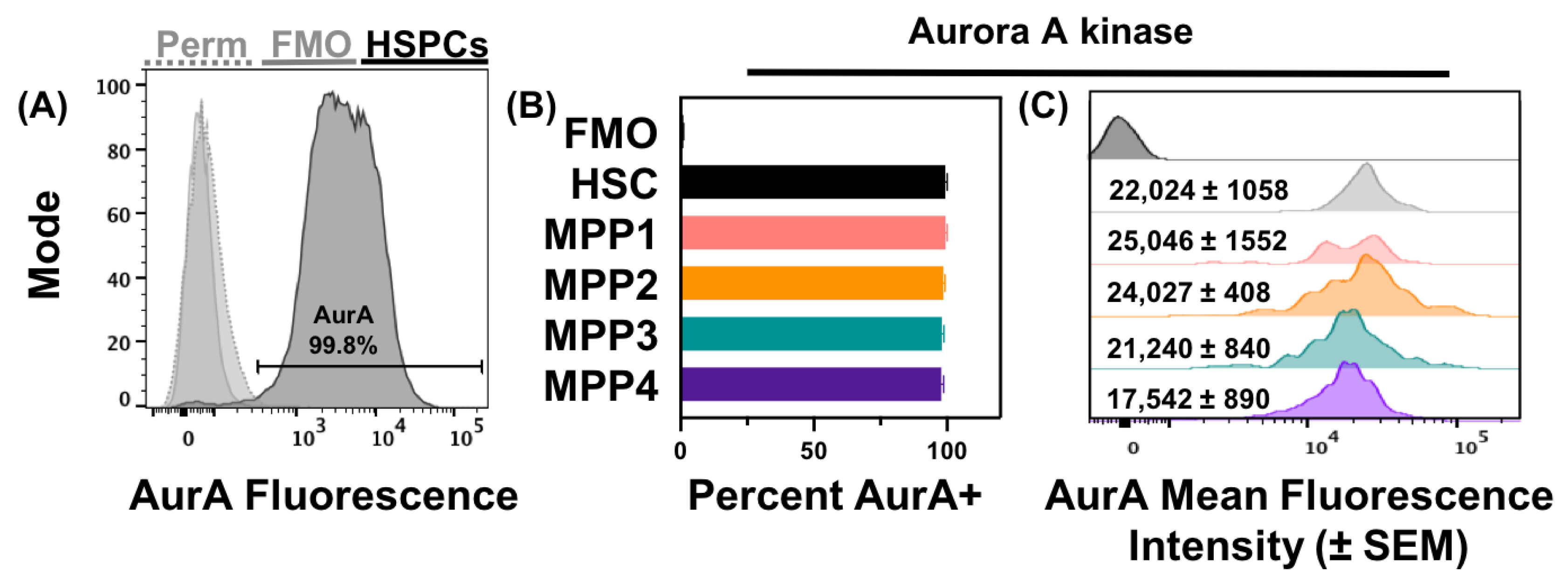 Receptors 02 00006 g003 Receptors 02 00006 g003