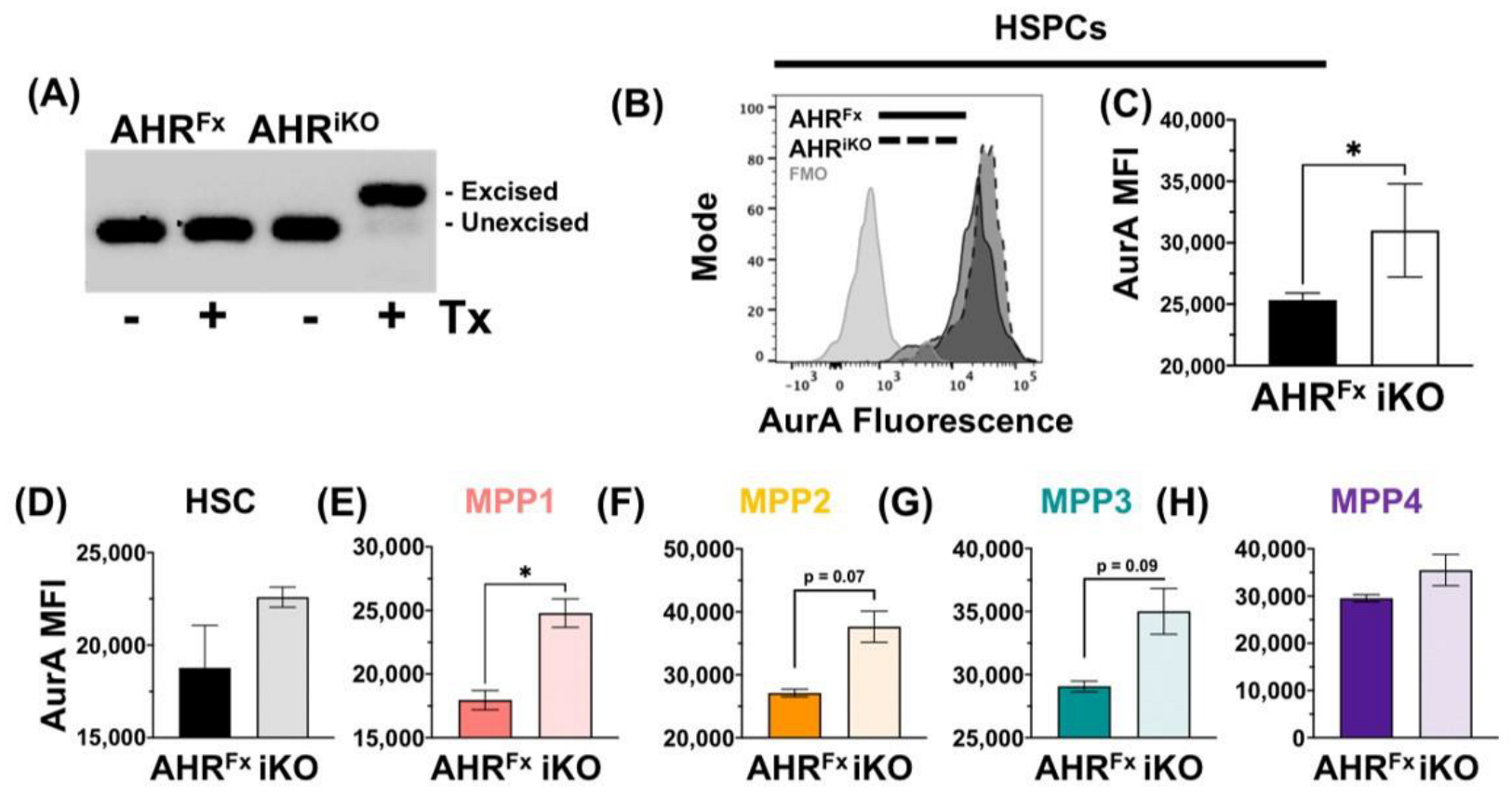 Receptors 02 00006 g004 Receptors 02 00006 g004