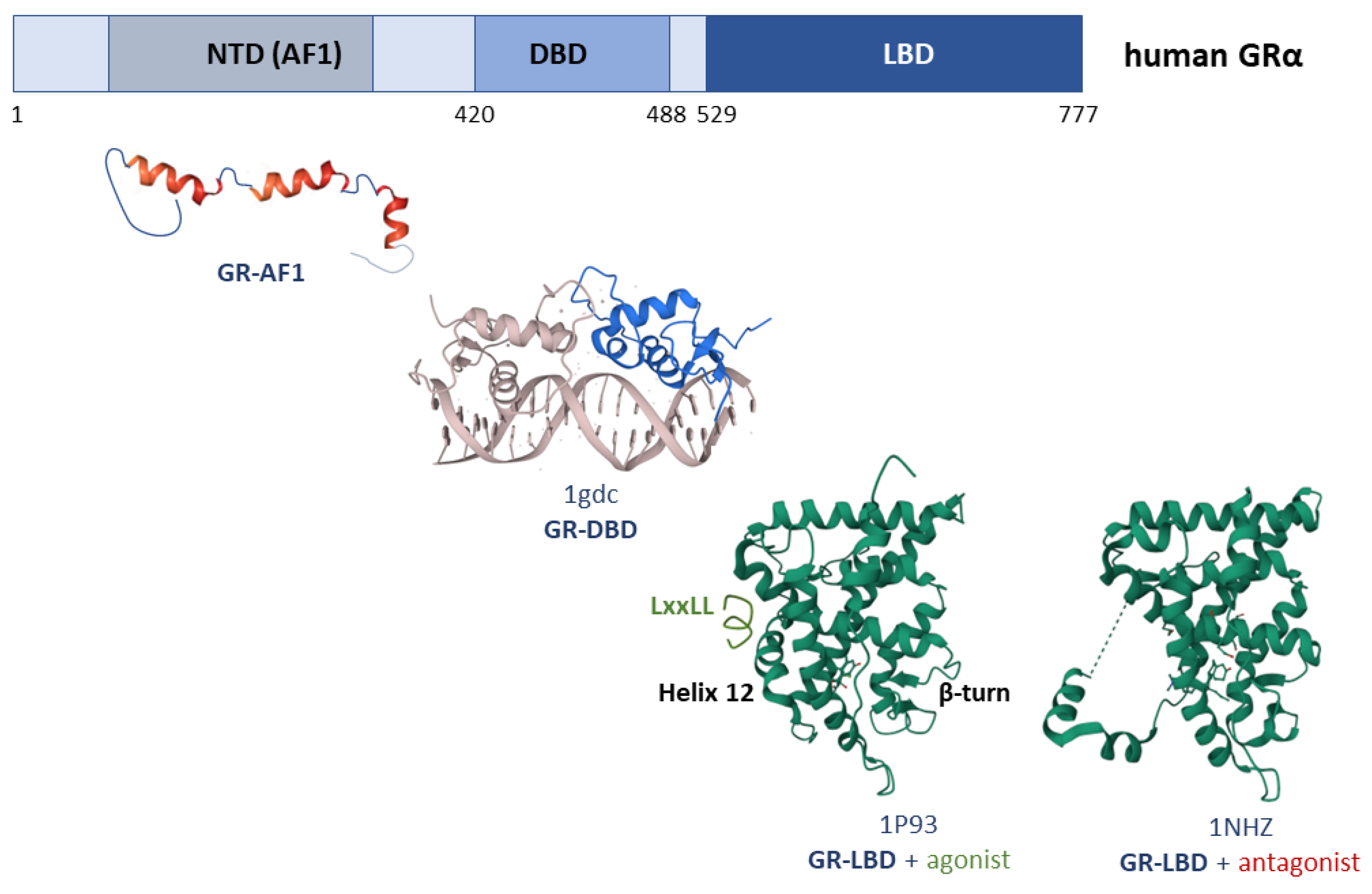 Receptors 02 00011 g003 Receptors 02 00011 g003