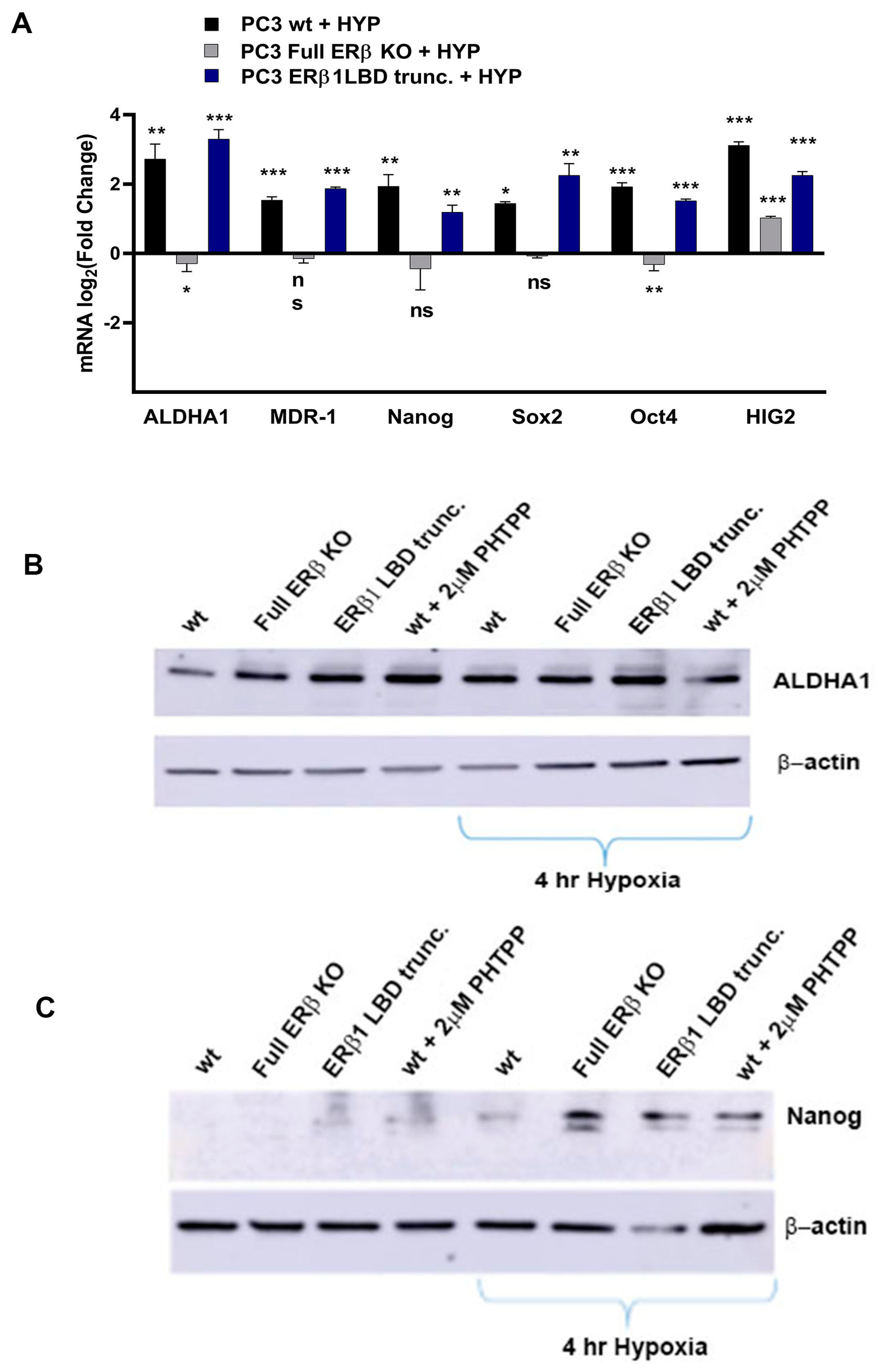 Receptors 02 00012 g004a Receptors 02 00012 g004a