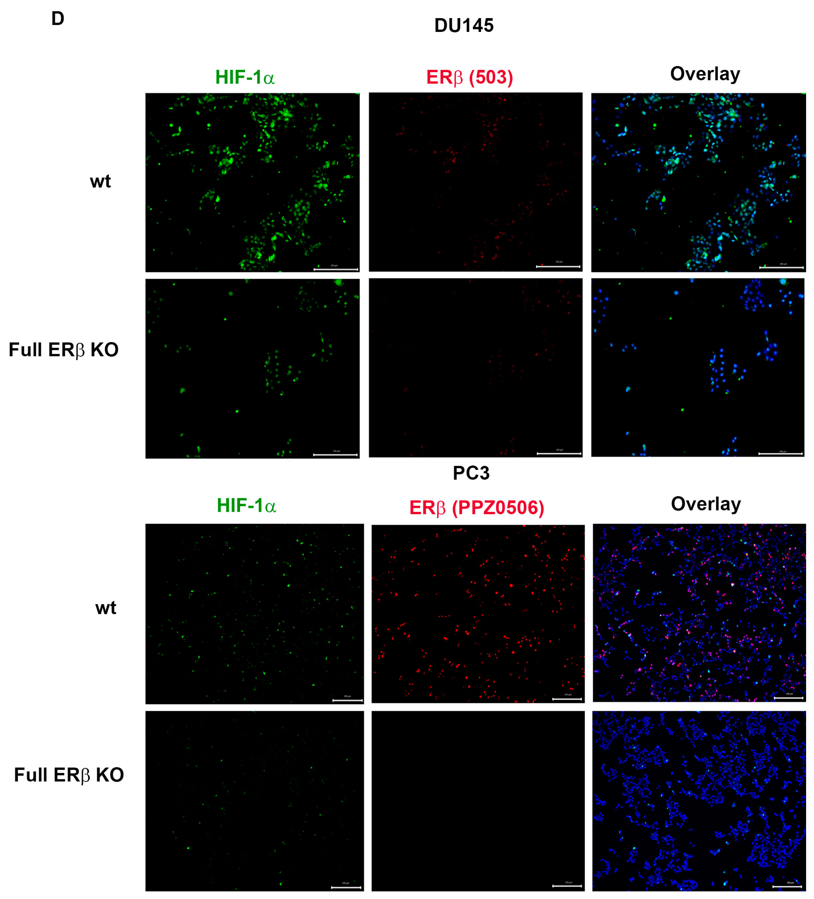 Receptors 02 00012 g004b Receptors 02 00012 g004b