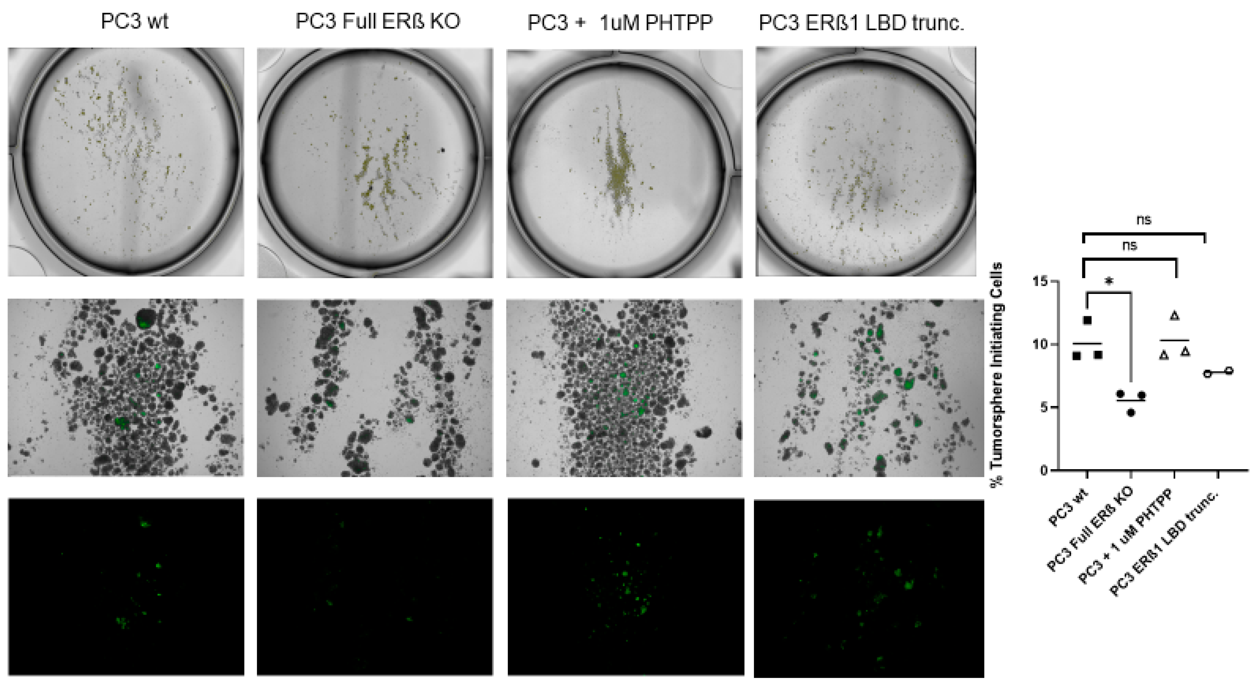 Receptors 02 00012 g005 Receptors 02 00012 g005