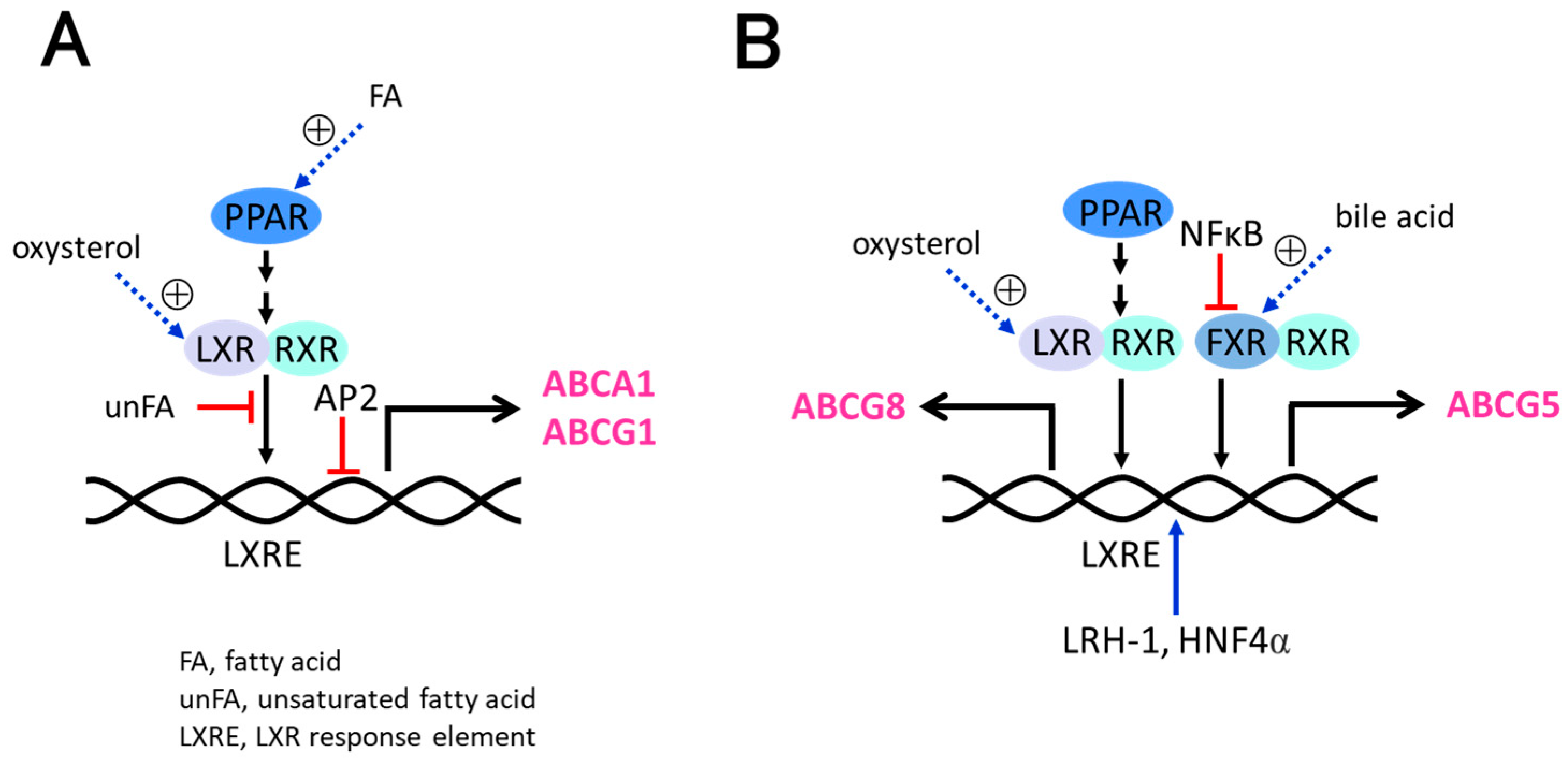 Receptors 02 00014 g004 Receptors 02 00014 g004